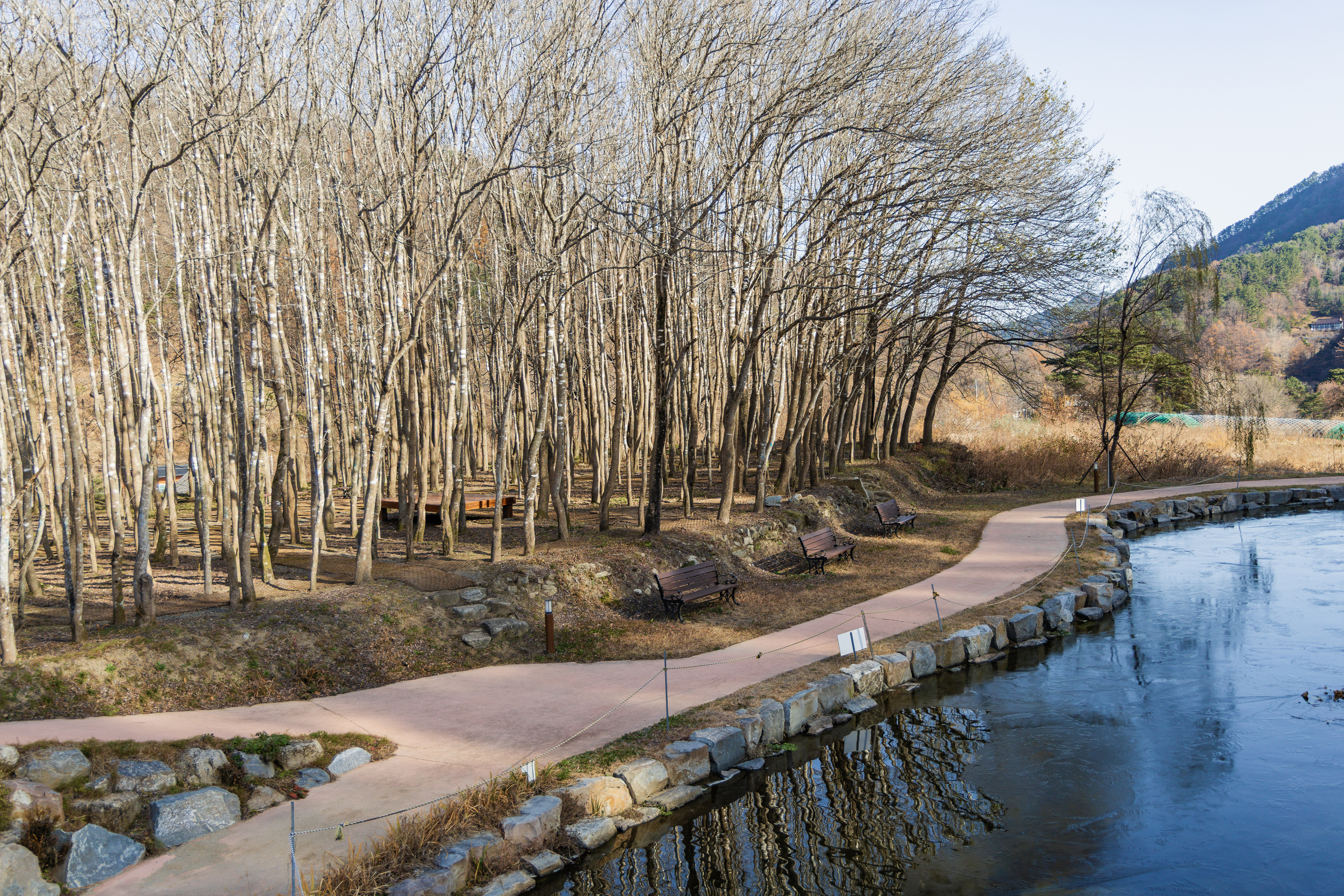 가야산오토캠핑장 42번째 이미지