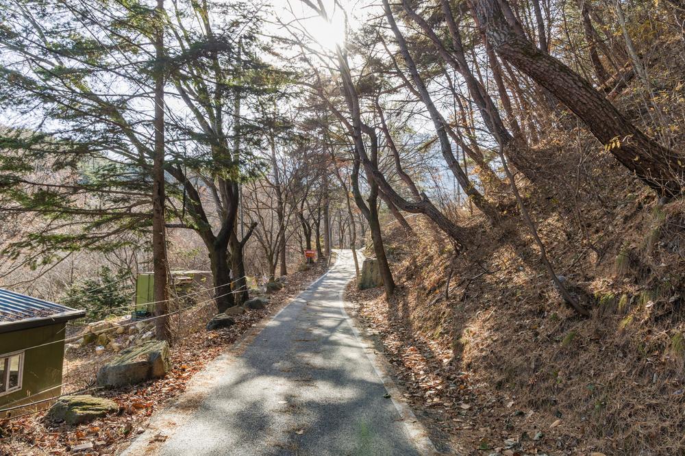 가야산오토캠핑장