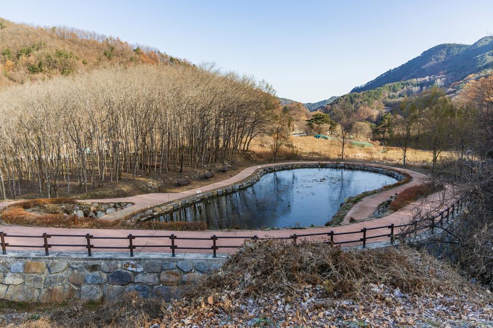가야산오토캠핑장