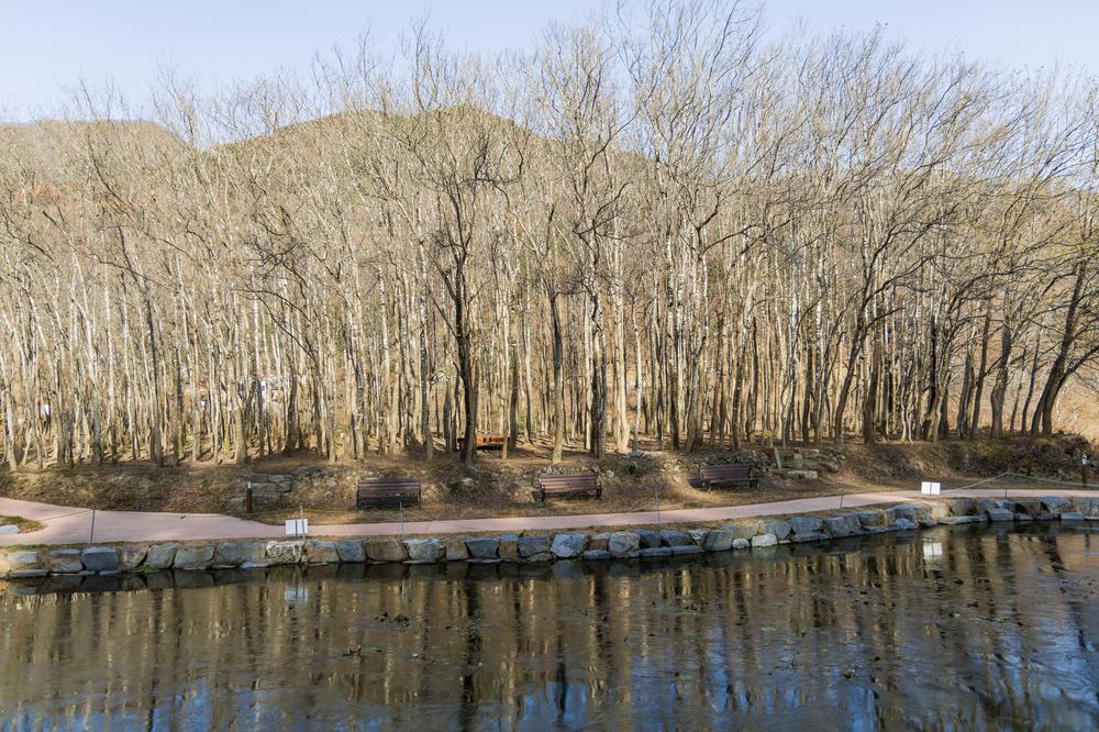 가야산오토캠핑장