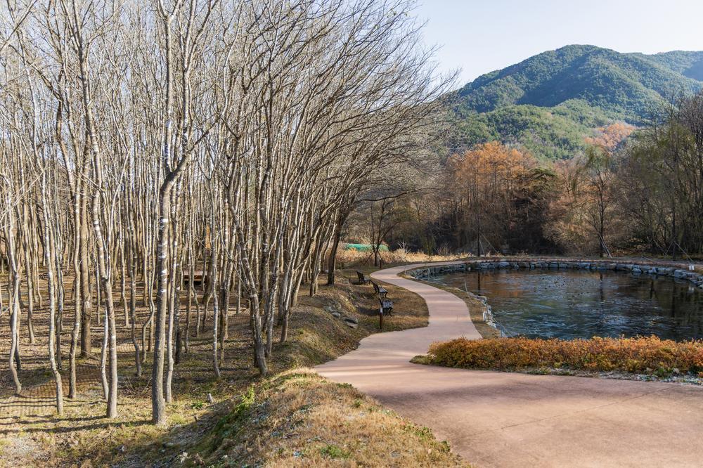 가야산오토캠핑장
