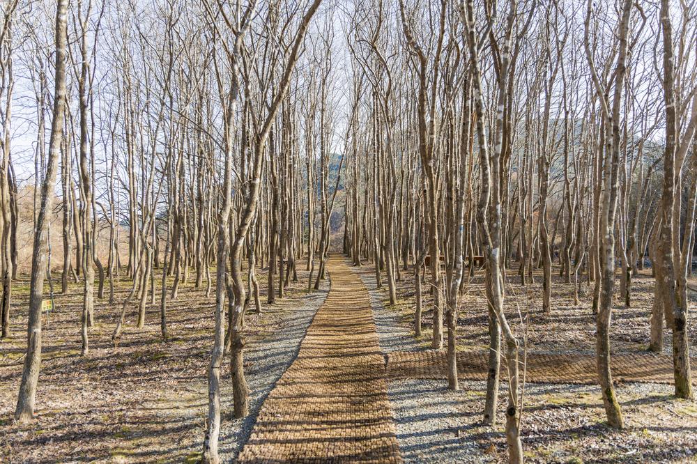 가야산오토캠핑장