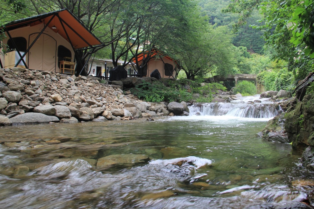 팜스테이 글램핑 앤 펜션 21번째 이미지