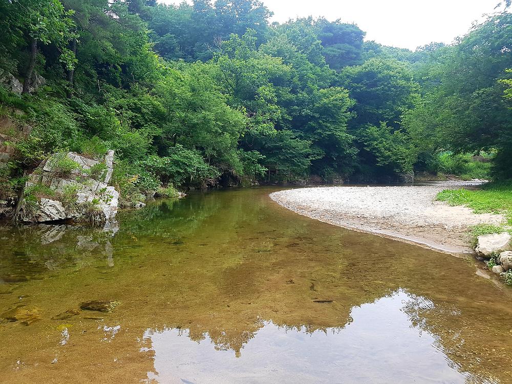 양양 포레스트캠핑장