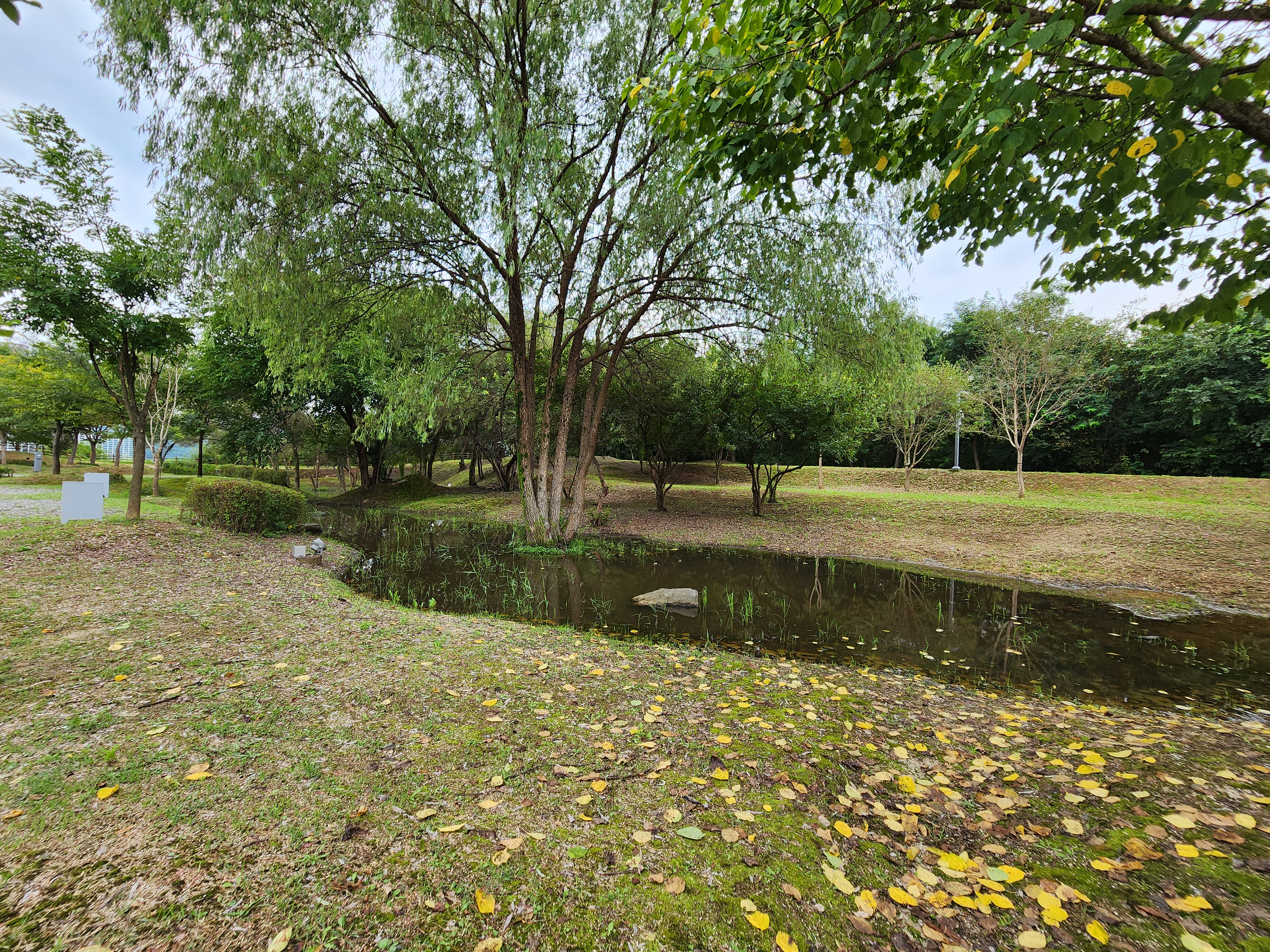 연천 전곡리유적 구석기 체험숲 이미지