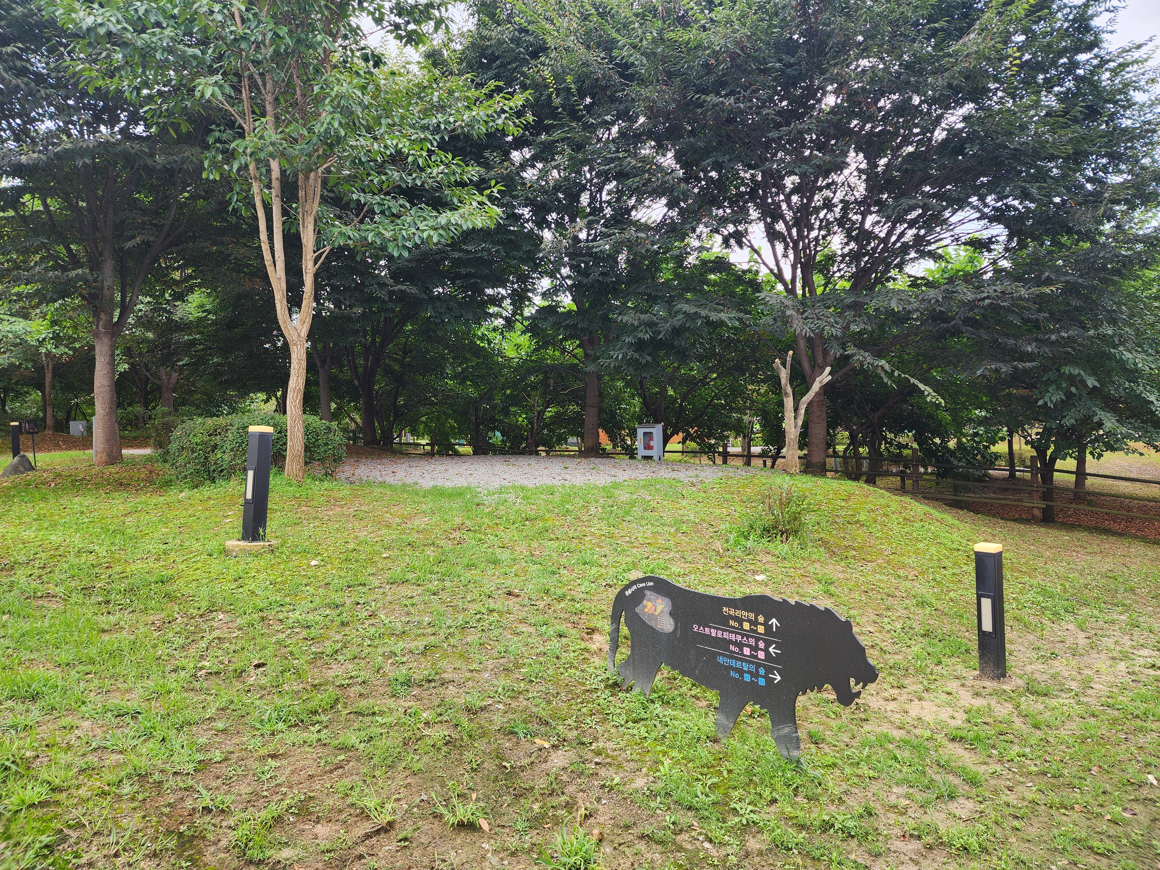 연천 전곡리유적 구석기 체험숲 이미지