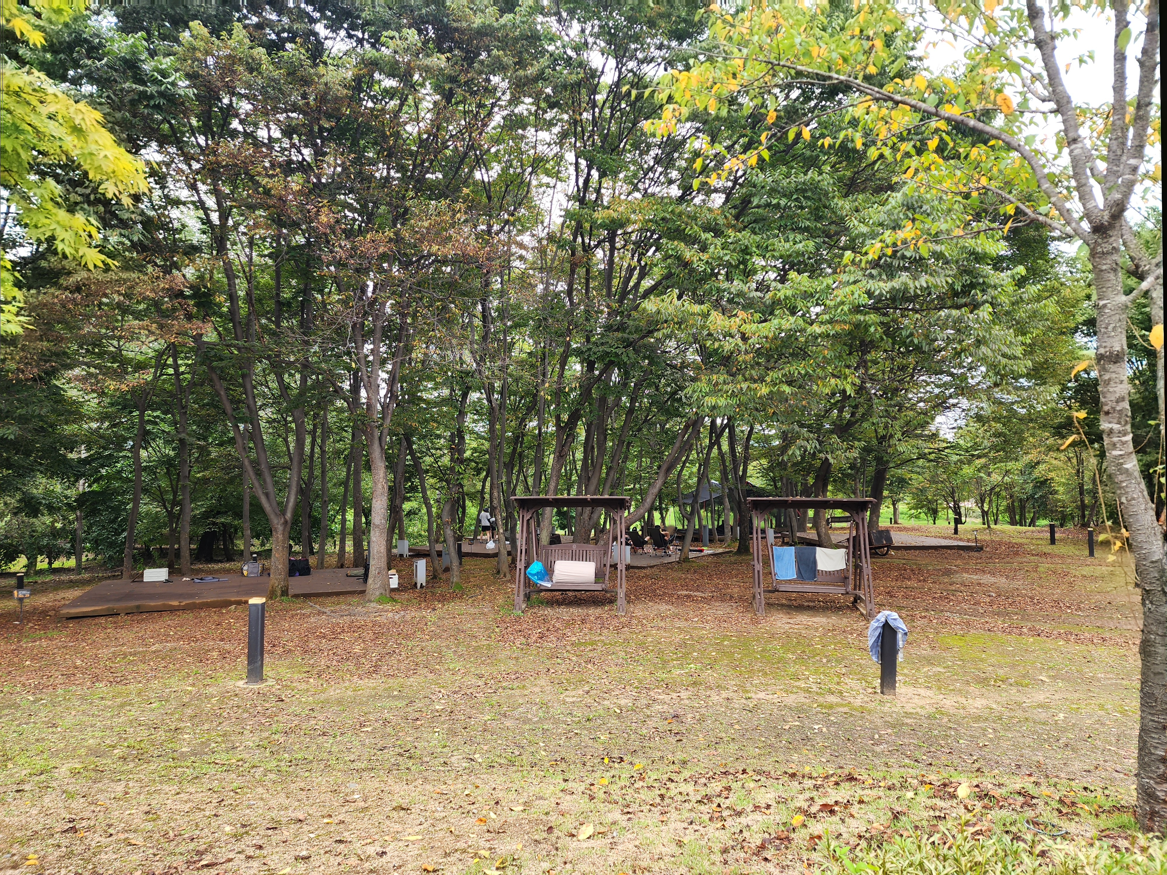 연천 전곡리유적 구석기 체험숲 이미지