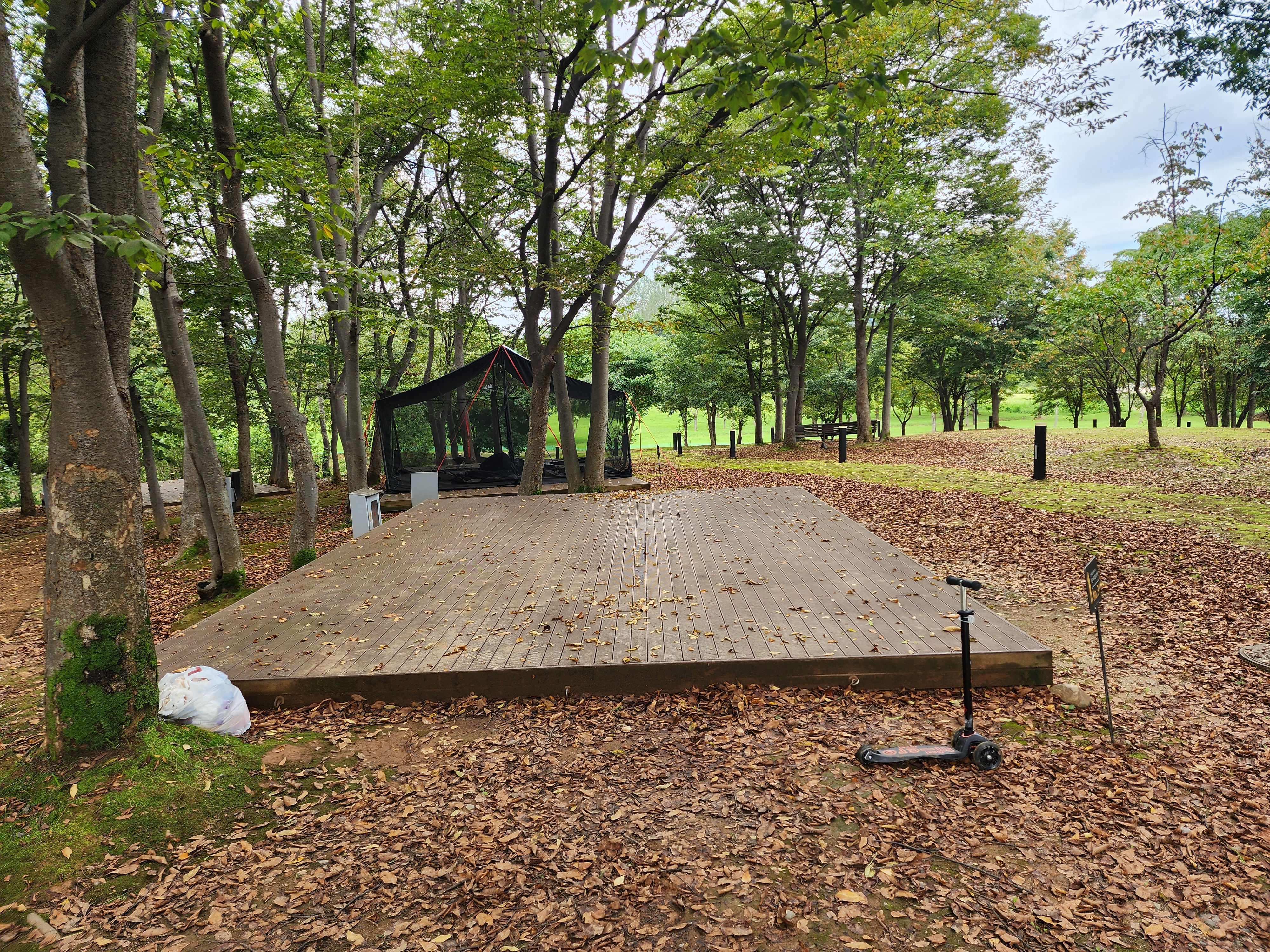 연천 전곡리유적 구석기 체험숲 이미지