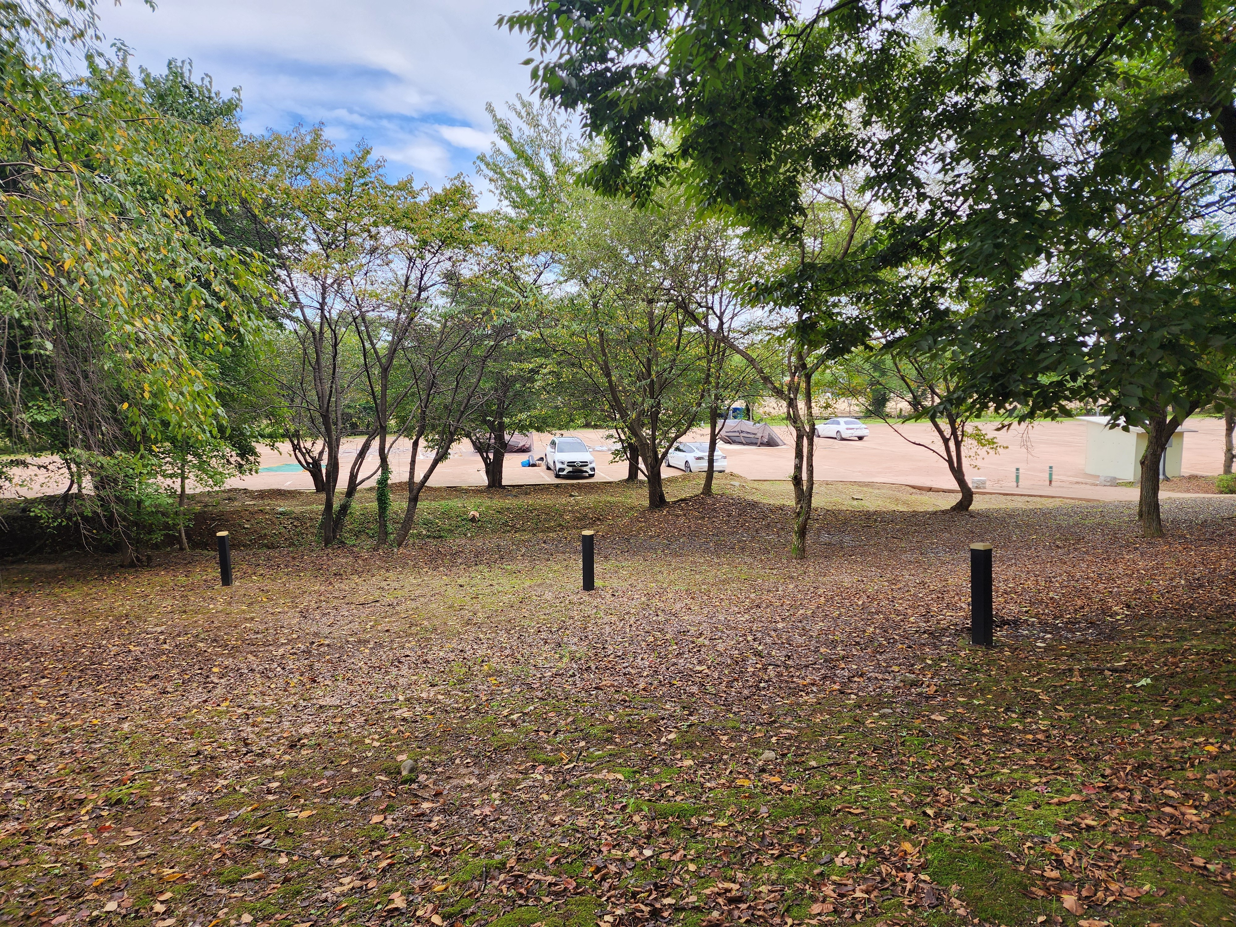 연천 전곡리유적 구석기 체험숲 이미지