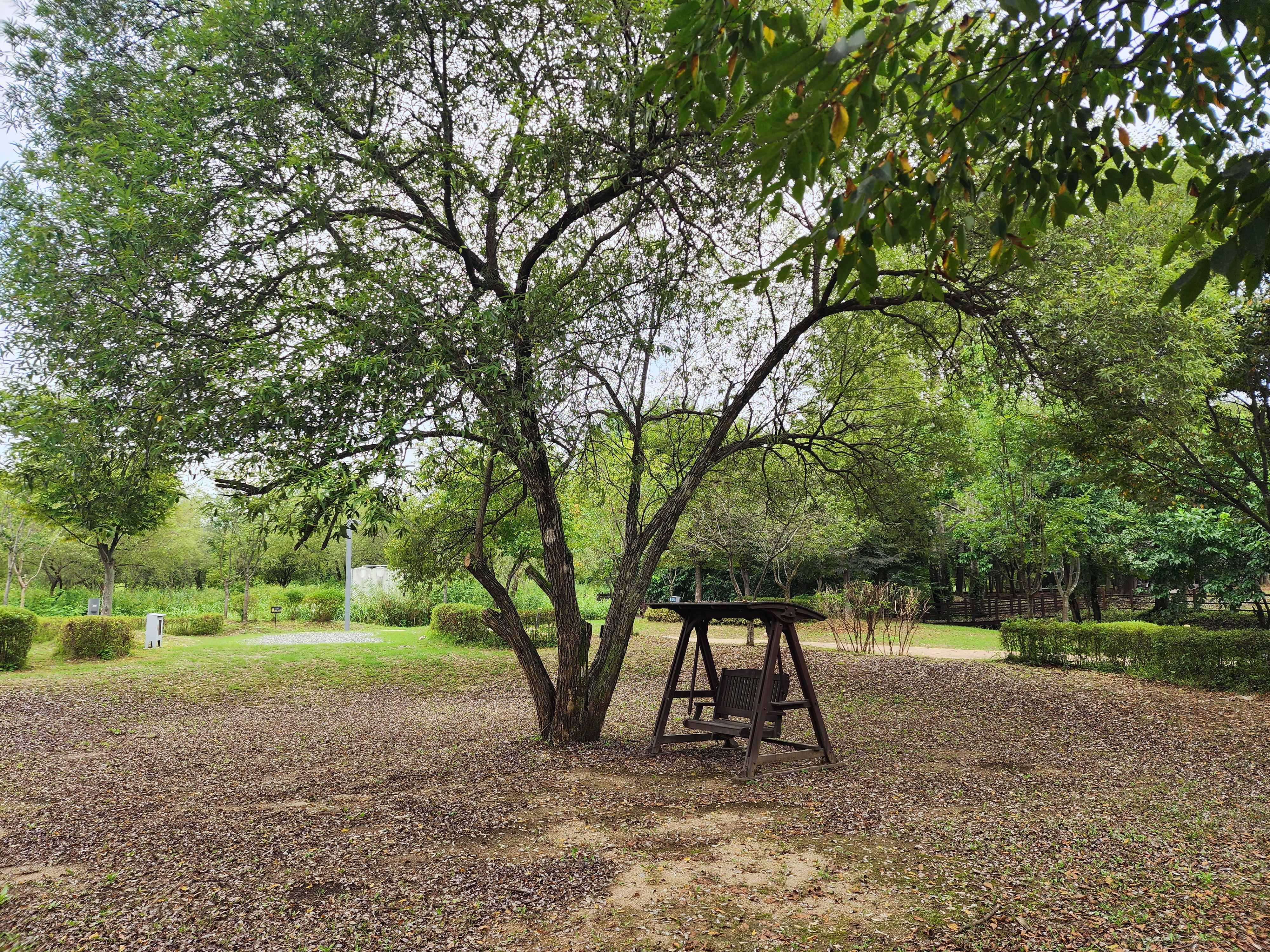 연천 전곡리유적 구석기 체험숲 이미지