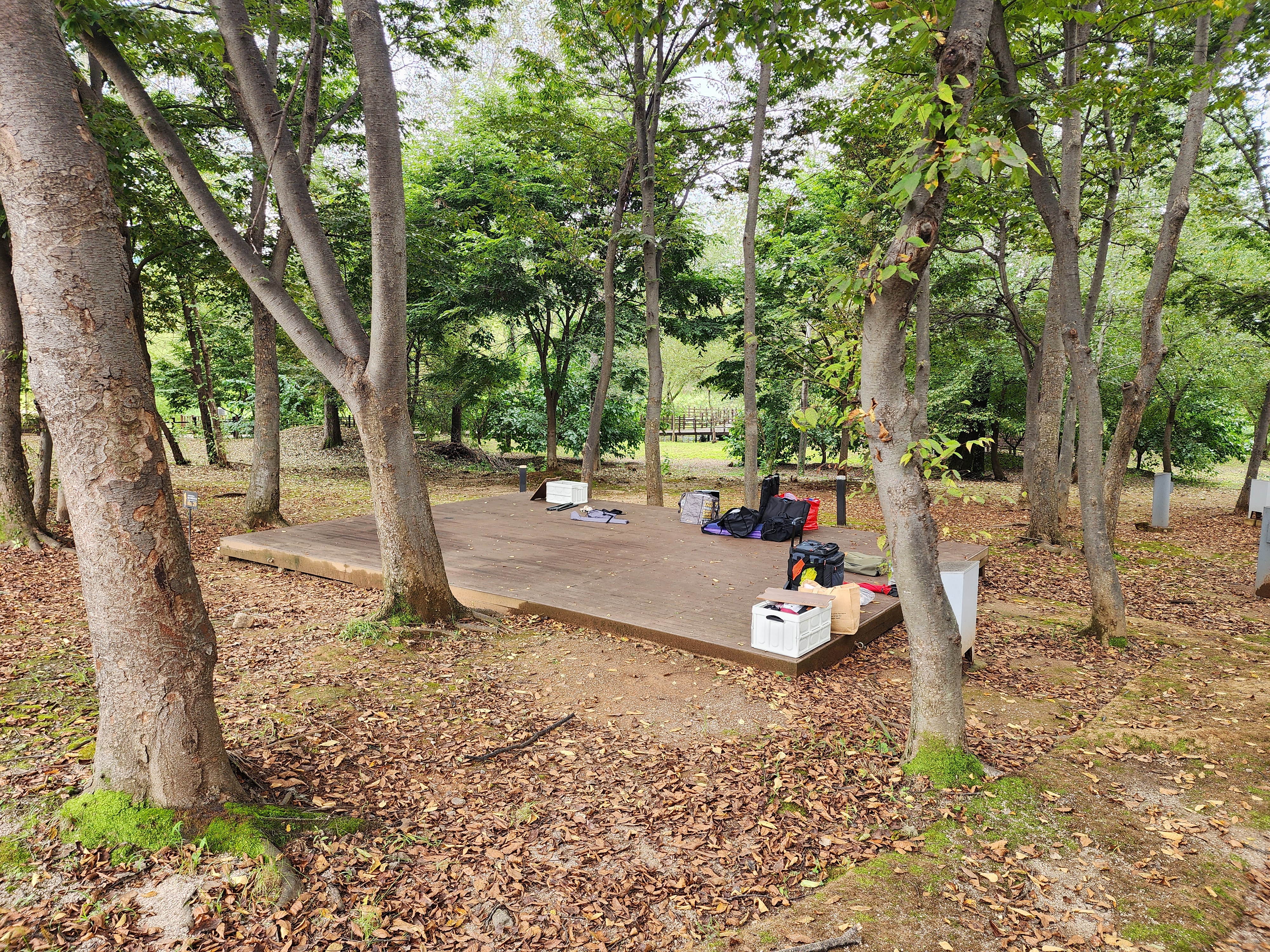 연천 전곡리유적 구석기 체험숲 이미지