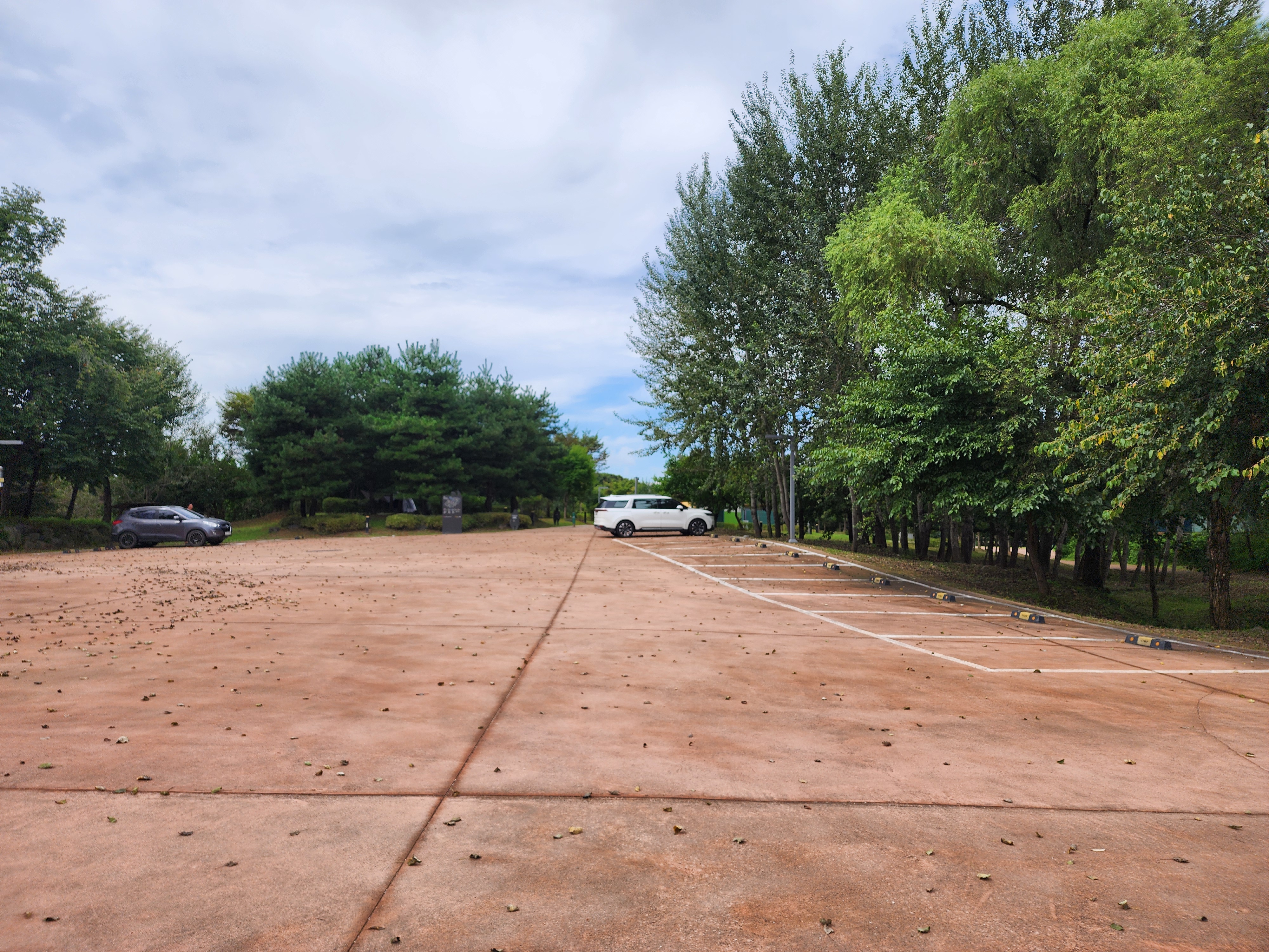 연천 전곡리유적 구석기 체험숲 이미지