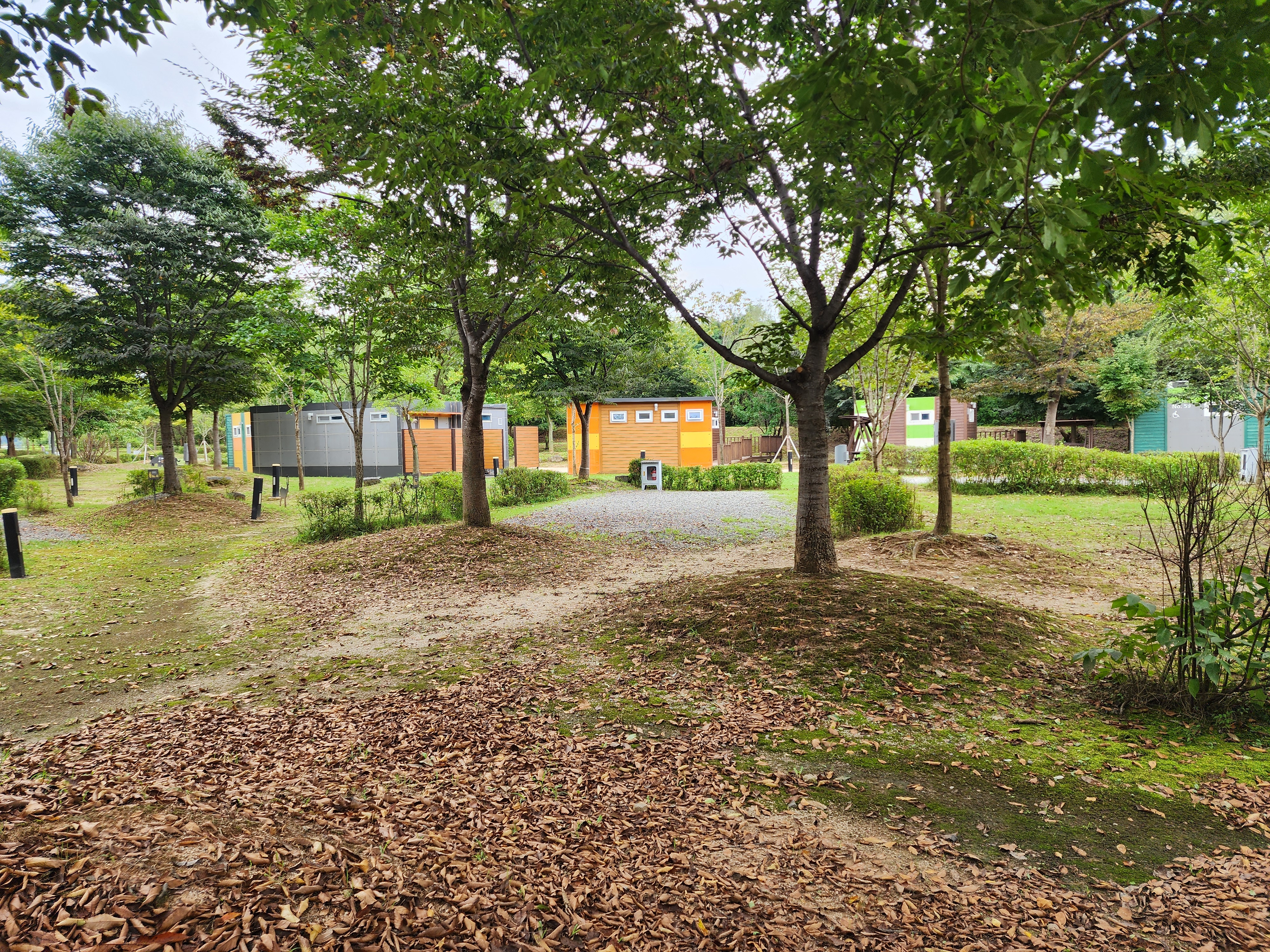 연천 전곡리유적 구석기 체험숲 이미지