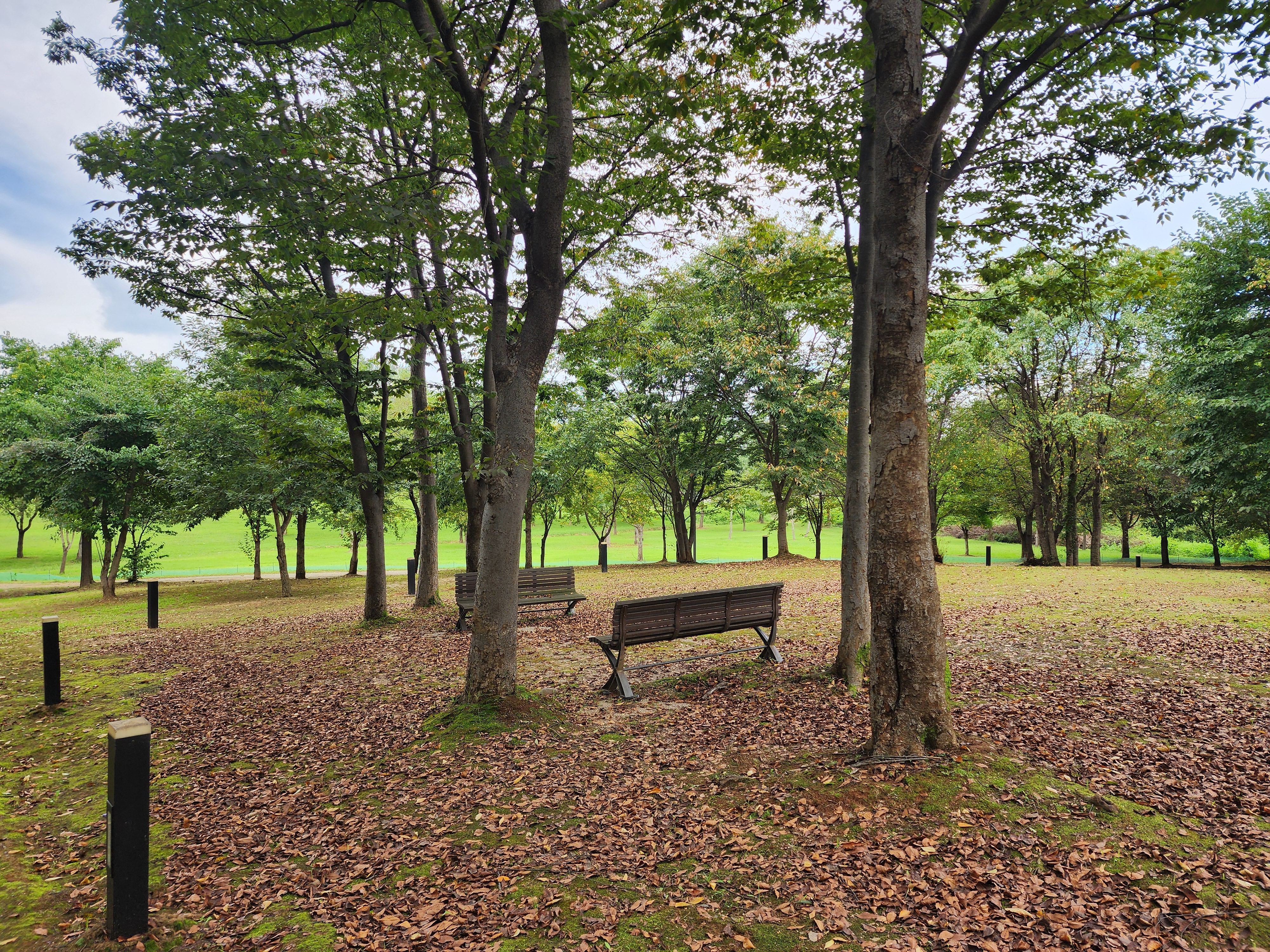 연천 전곡리유적 구석기 체험숲 이미지