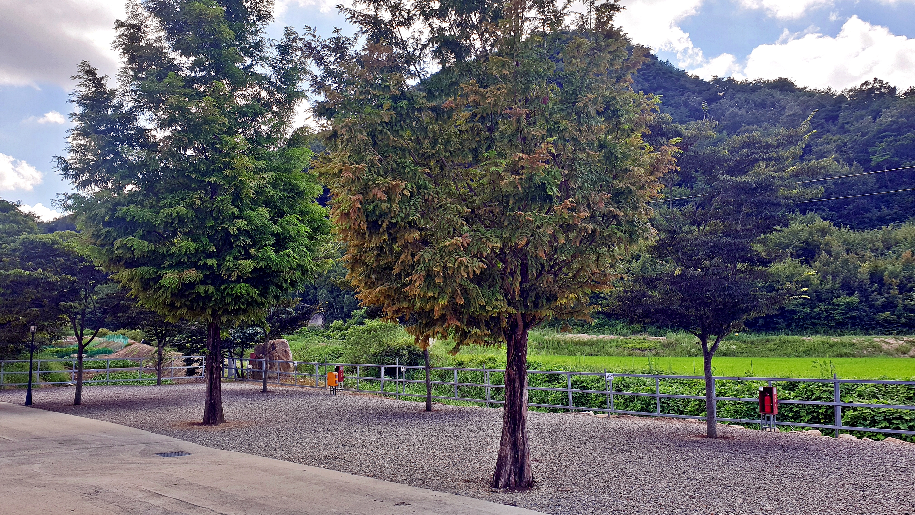 가족캠핑장 18번째 이미지