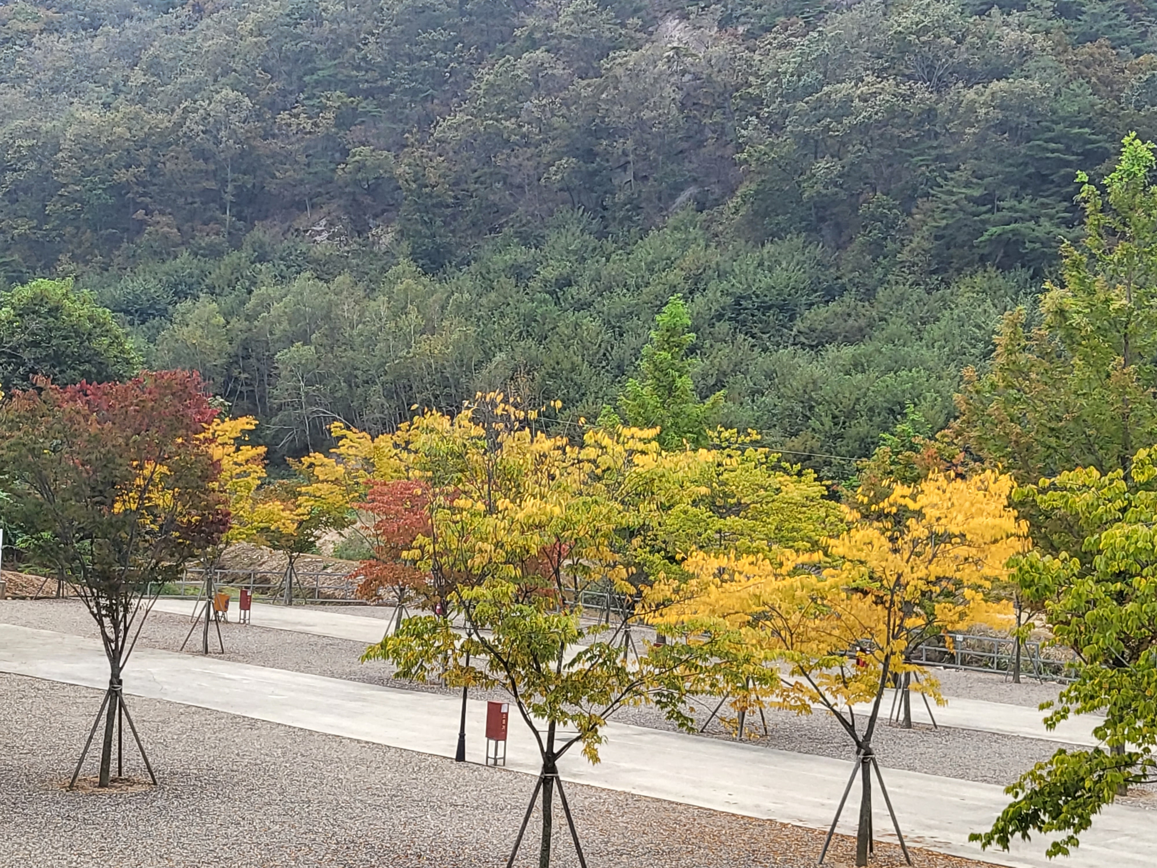 가족캠핑장 30번째 이미지