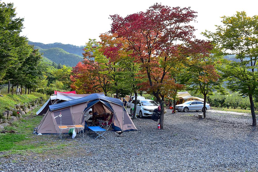 대회산캠핑장