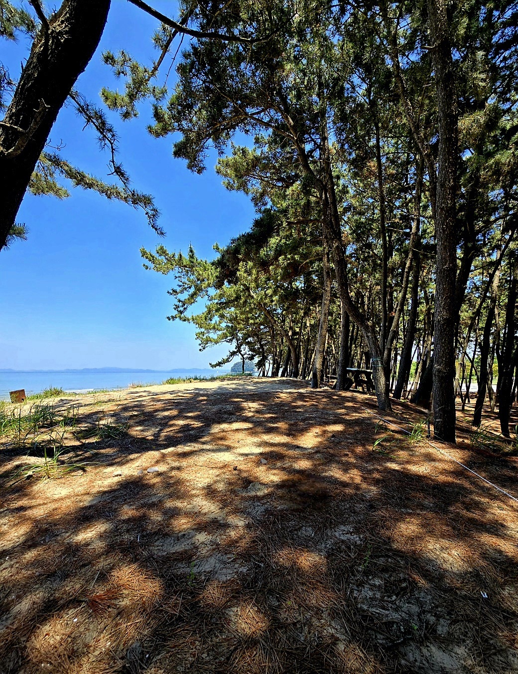 태안 바다드림 캠핑장 6번째 이미지