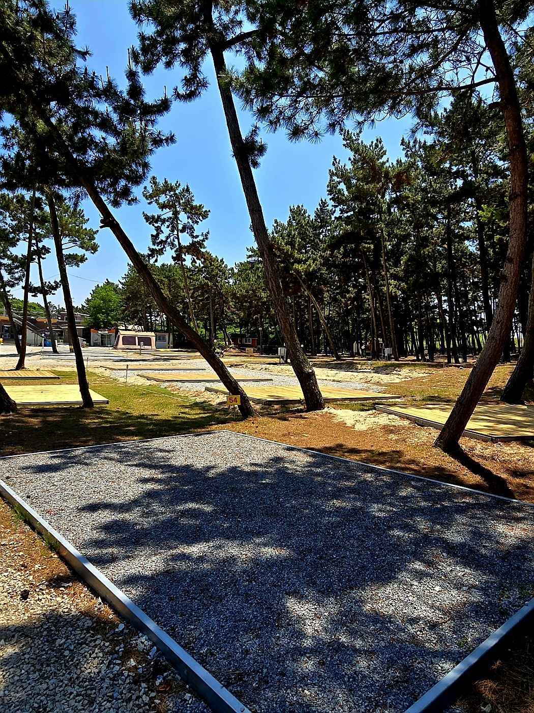 태안 바다드림 캠핑장 8번째 이미지