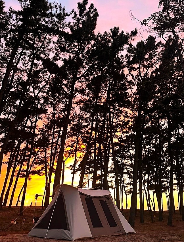 태안 바다드림 캠핑장 5번째 이미지