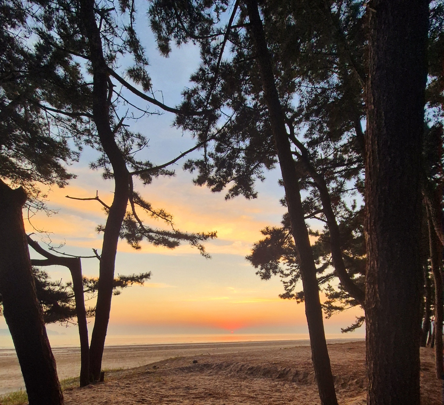 태안 바다드림 캠핑장 2번째 이미지