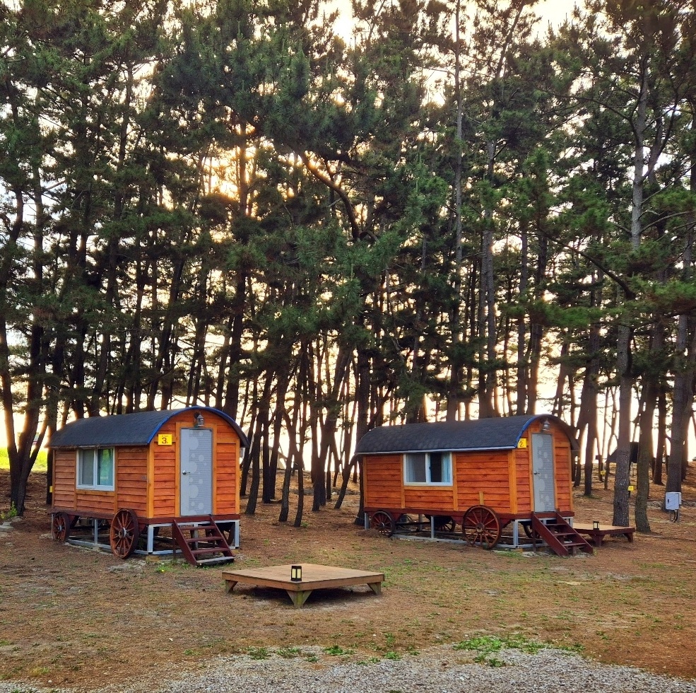 태안 바다드림 캠핑장 7번째 이미지