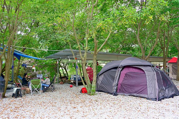 숲속 캠핑장