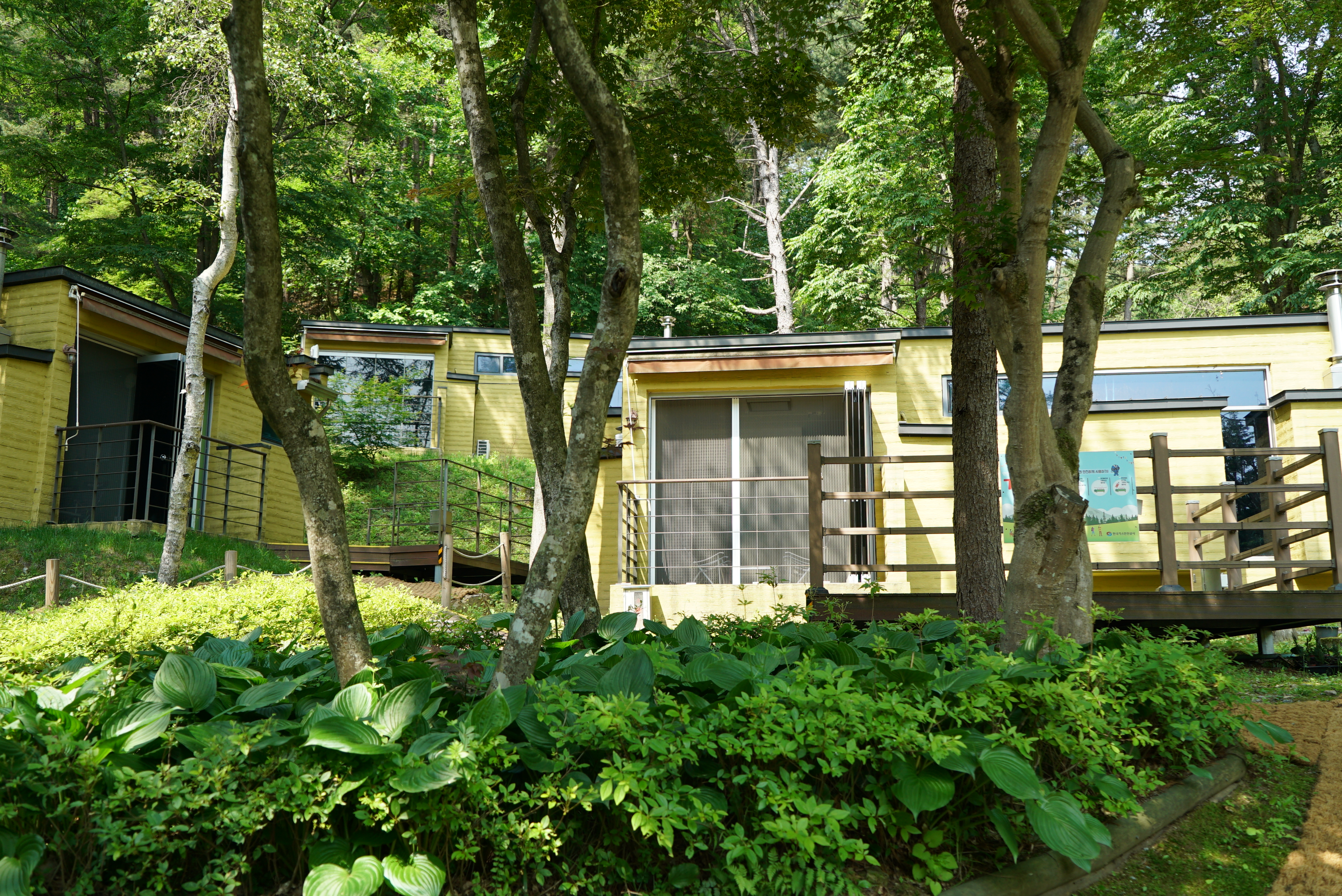 구곡폭포 국민여가 캠핑장 37번째 이미지