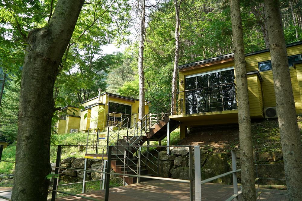 구곡폭포 국민여가 캠핑장