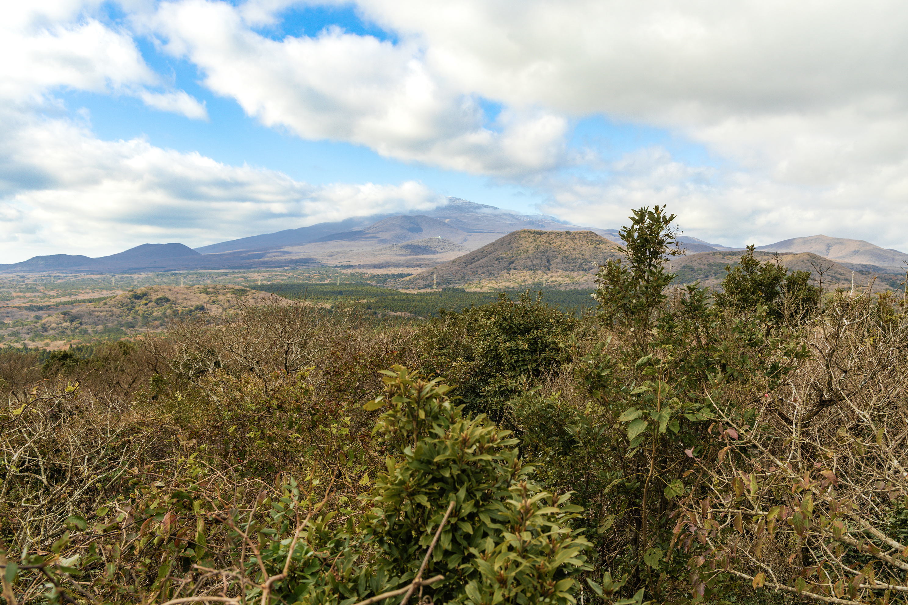 붉은오름 자연휴양림 숲속 야영장 18번째 이미지