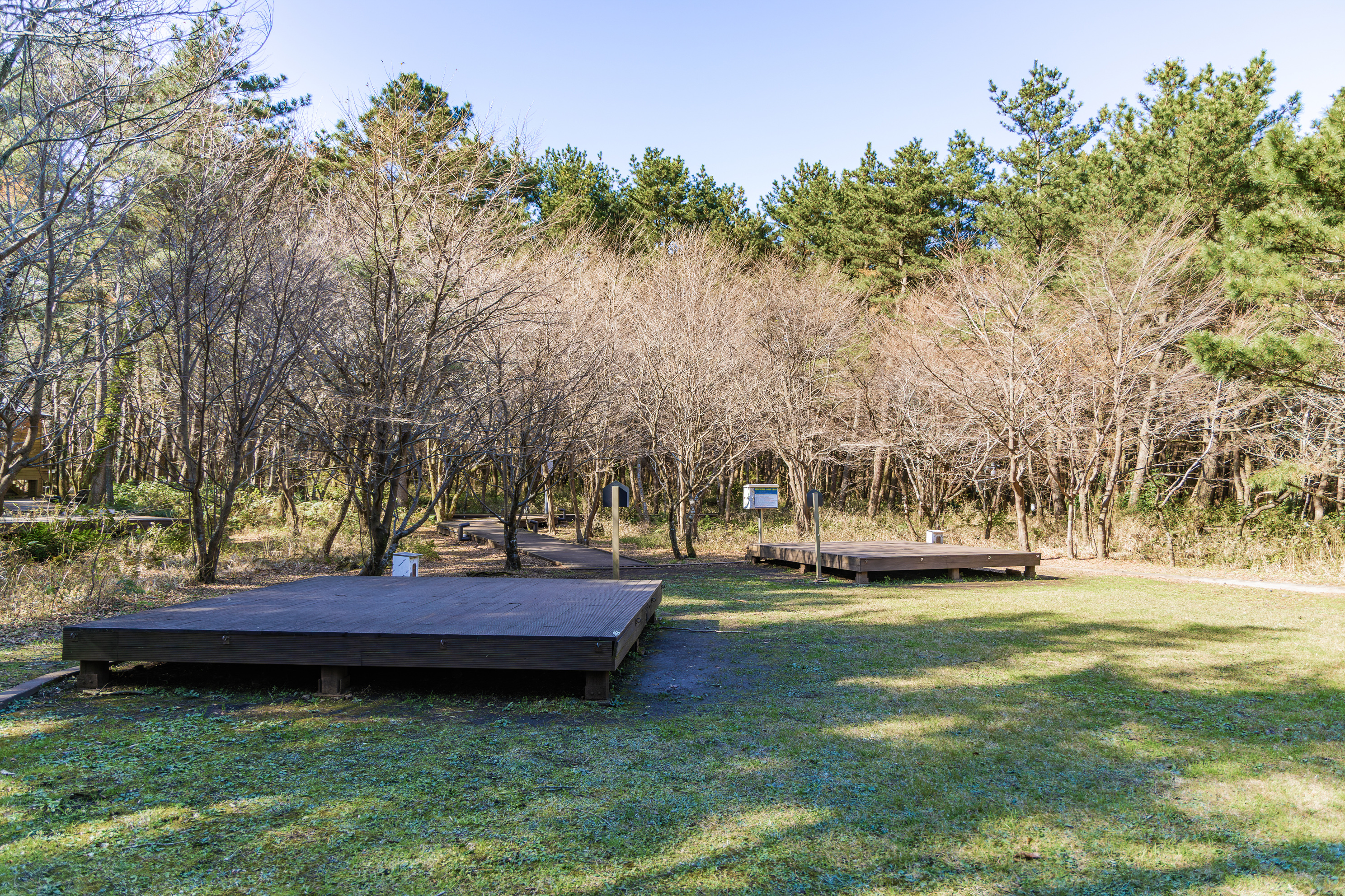 붉은오름 자연휴양림 숲속 야영장 30번째 이미지