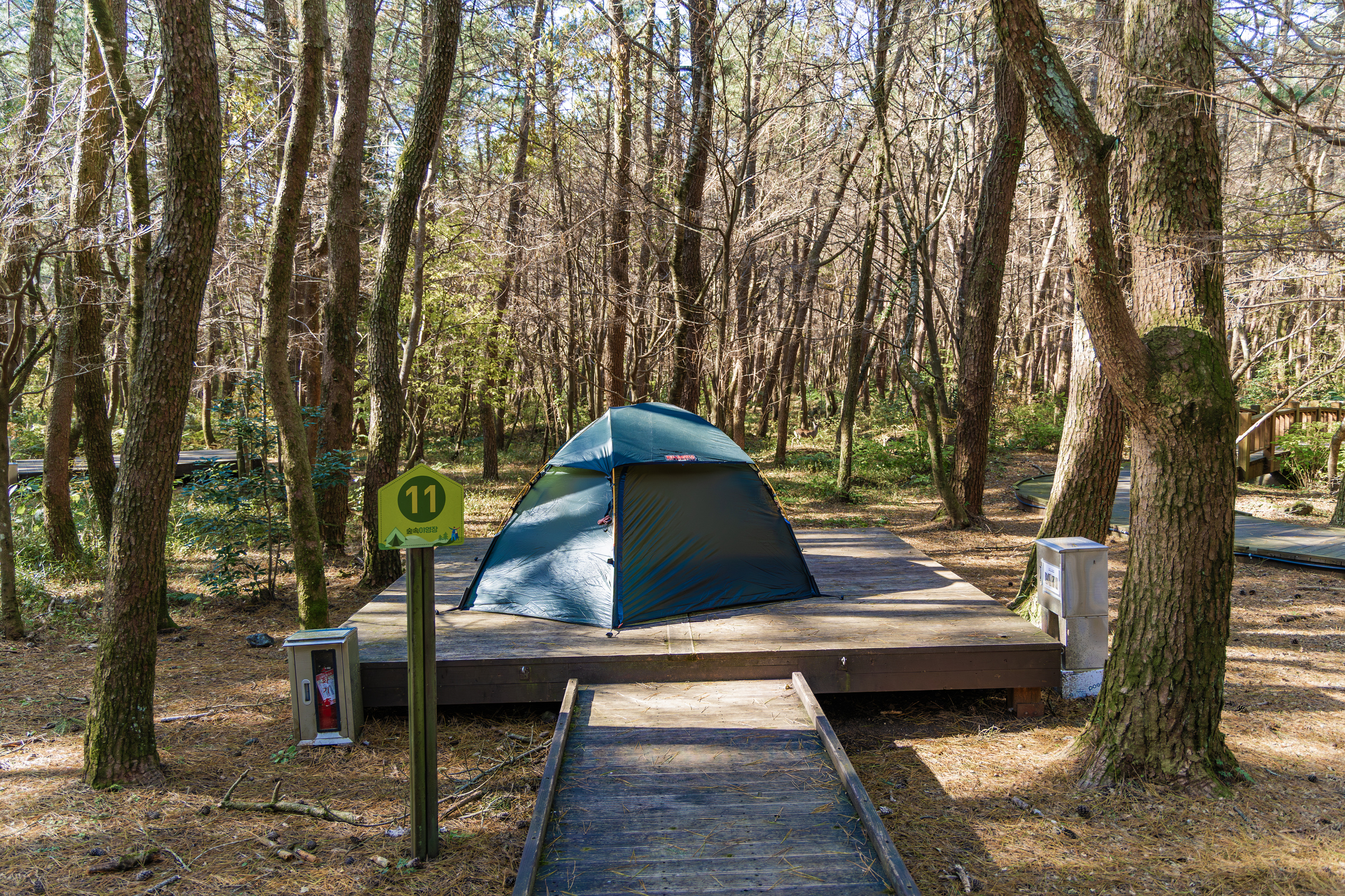 붉은오름 자연휴양림 숲속 야영장 29번째 이미지