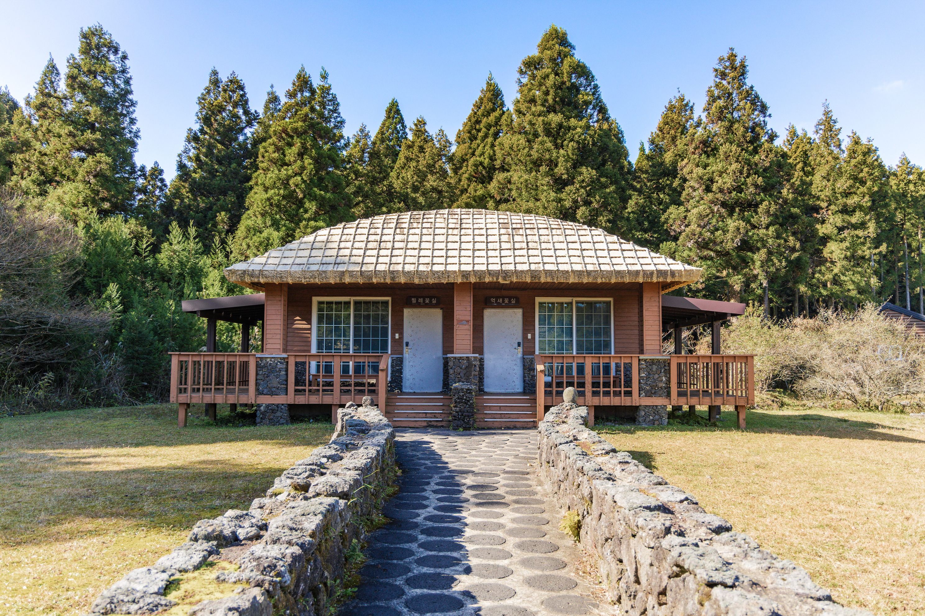 붉은오름 자연휴양림 숲속 야영장 37번째 이미지