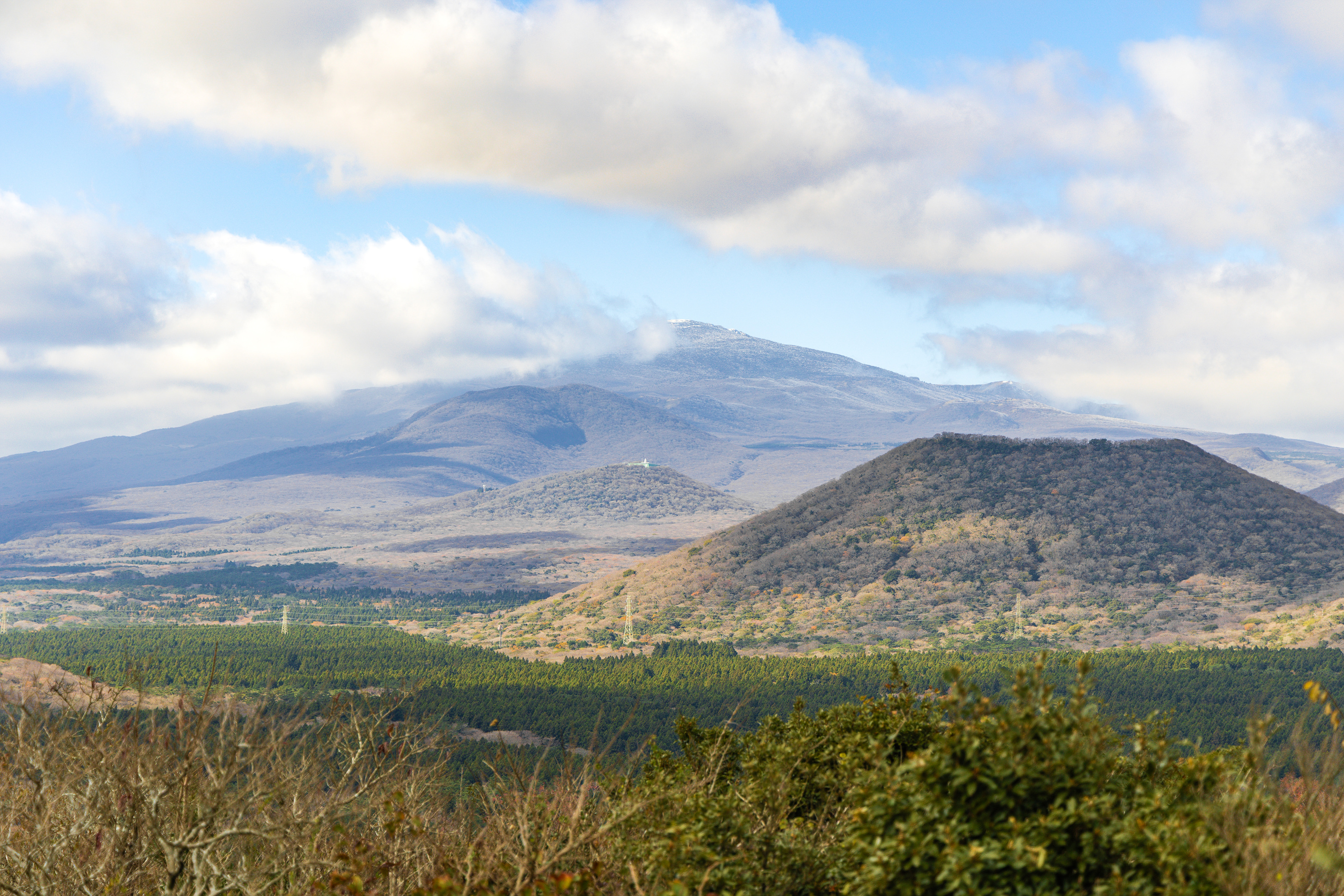 붉은오름 자연휴양림 숲속 야영장