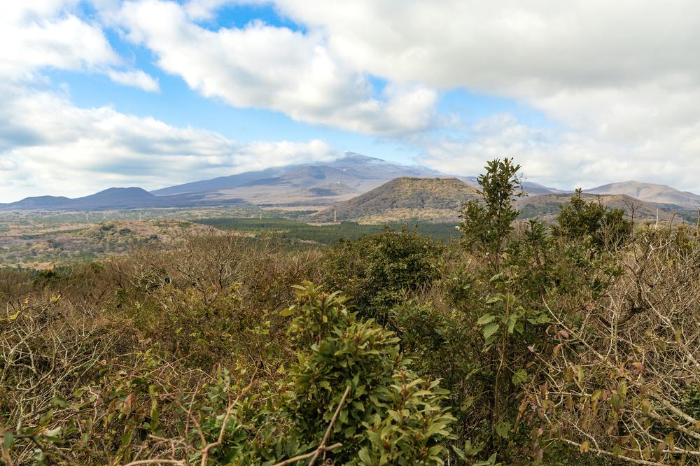 붉은오름 자연휴양림 숲속 야영장