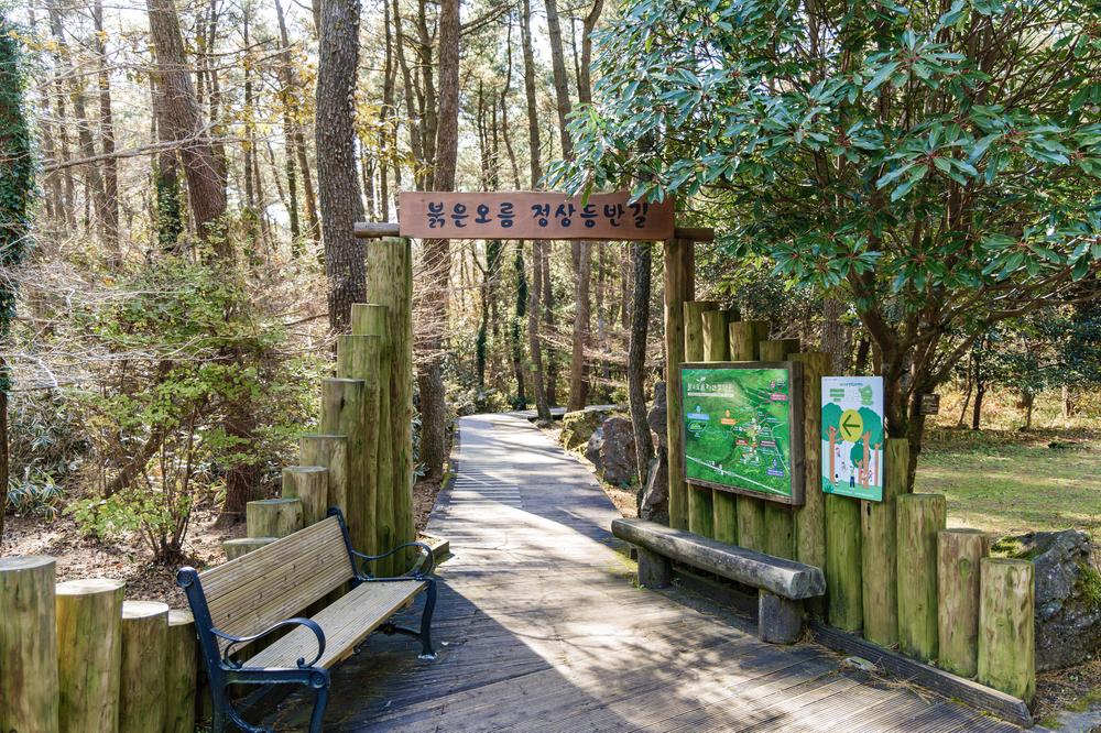 붉은오름 자연휴양림 숲속 야영장