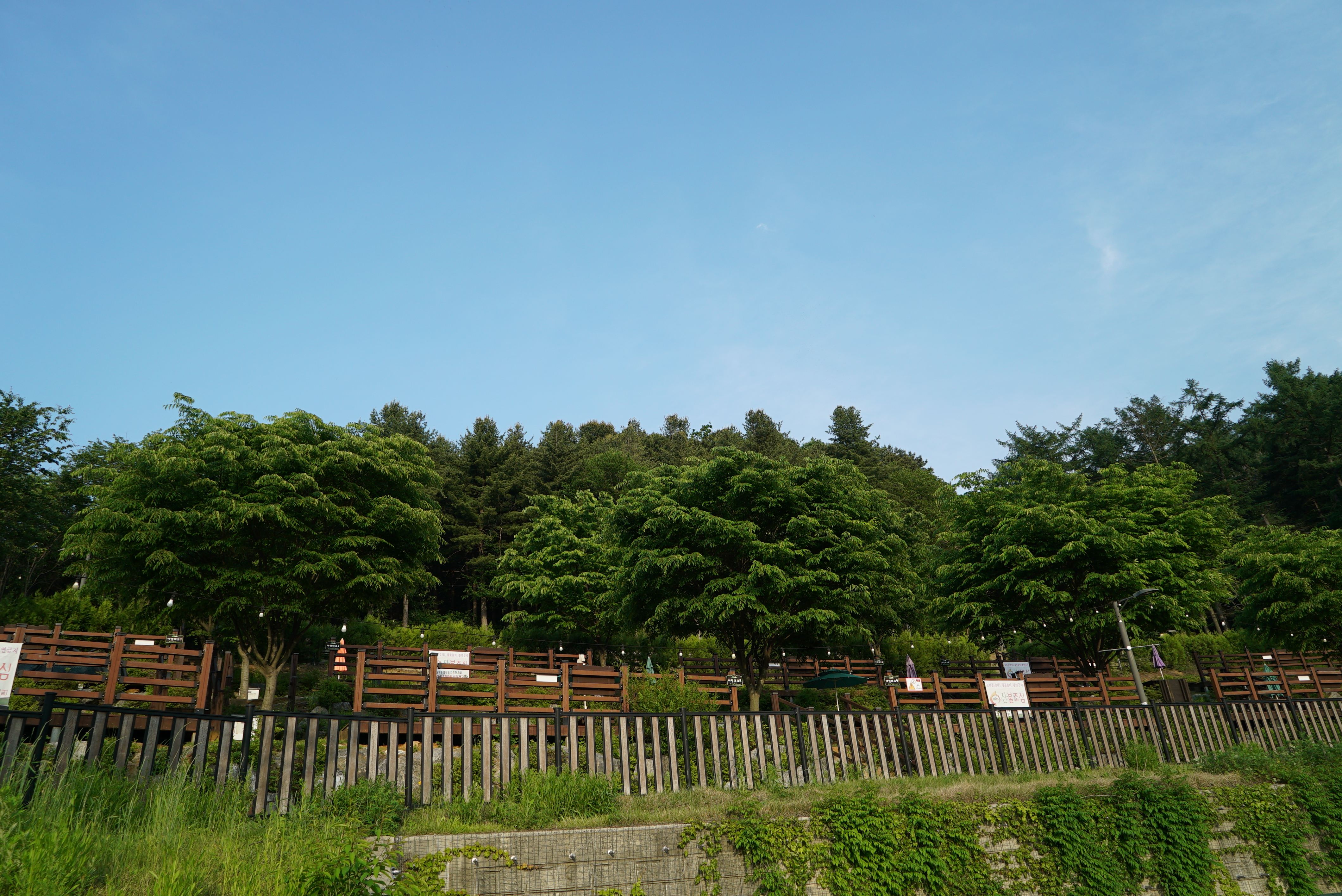소요별앤숲테마파크