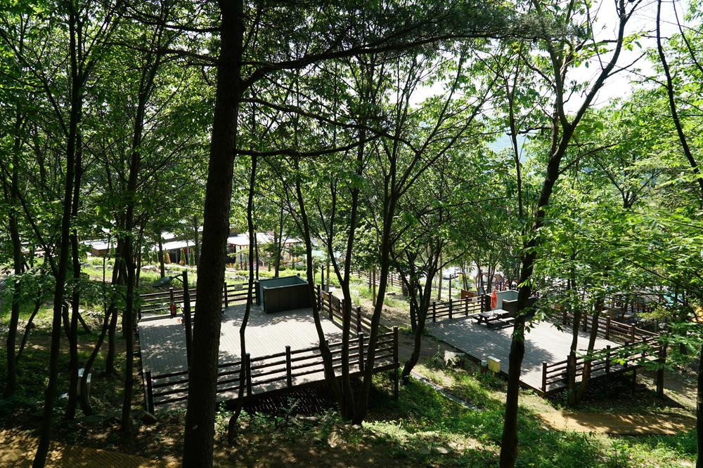 소요별앤숲테마파크