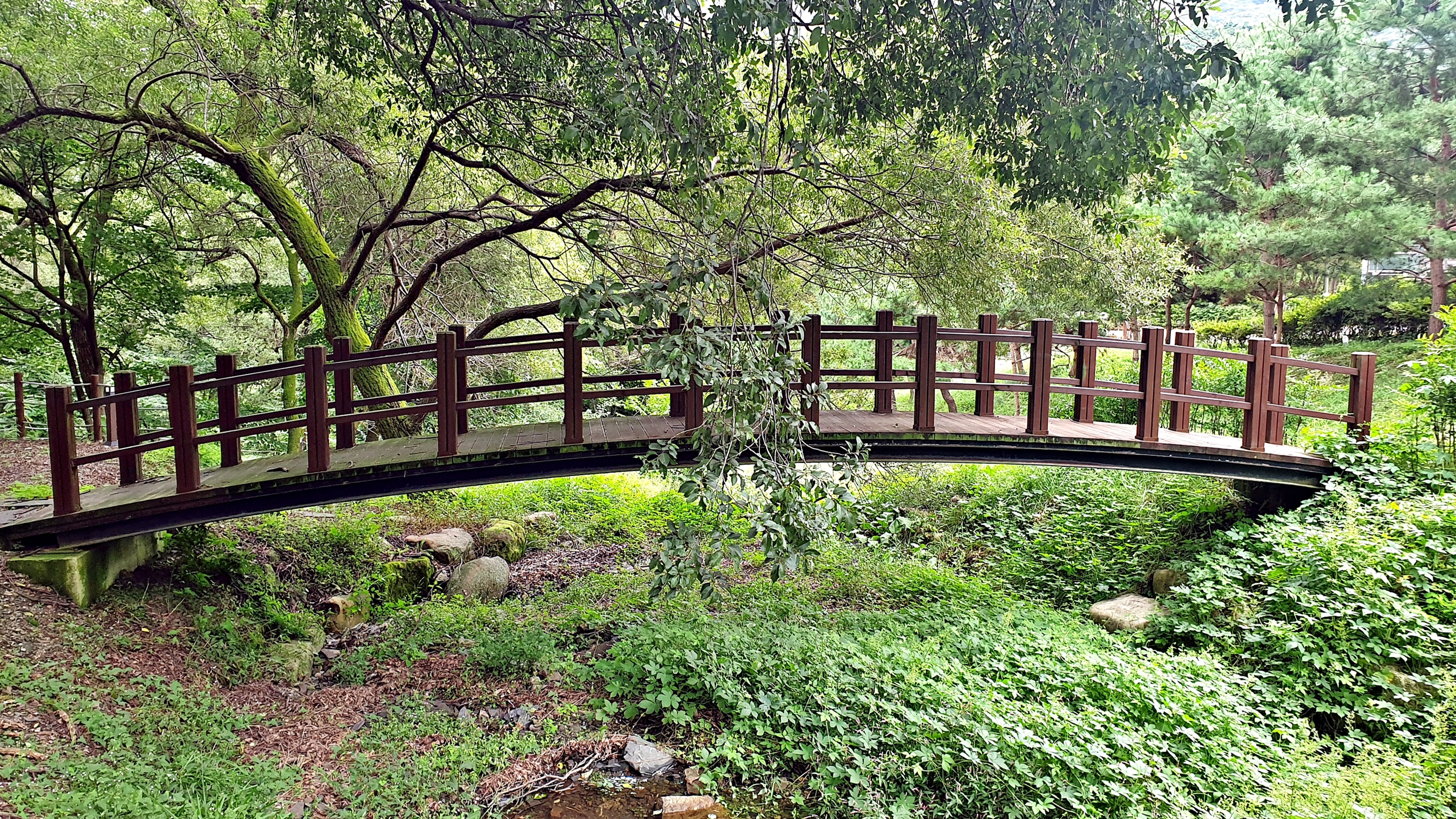 대둔산 수락오토캠핑장 21번째 이미지