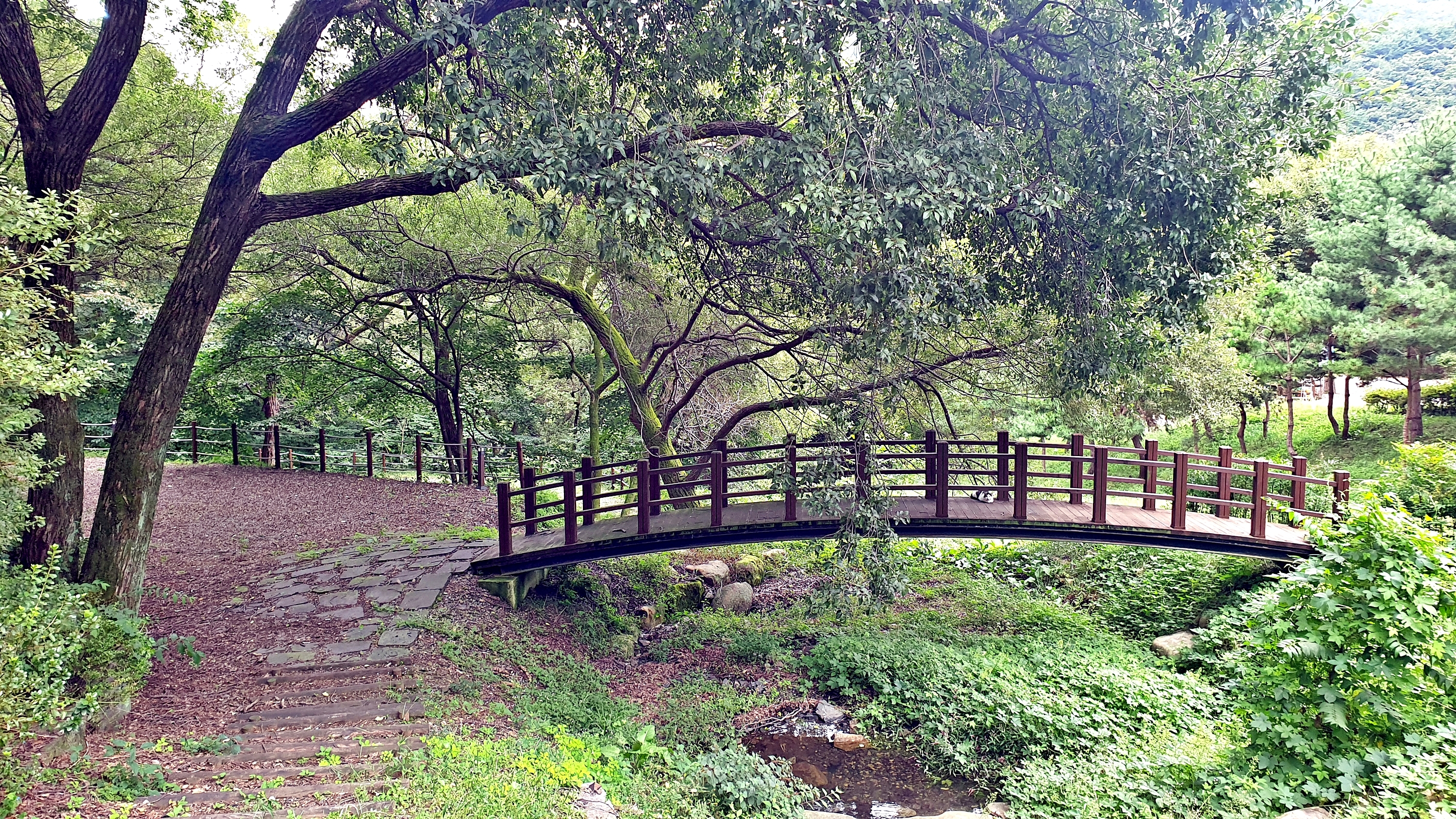 대둔산 수락오토캠핑장 20번째 이미지