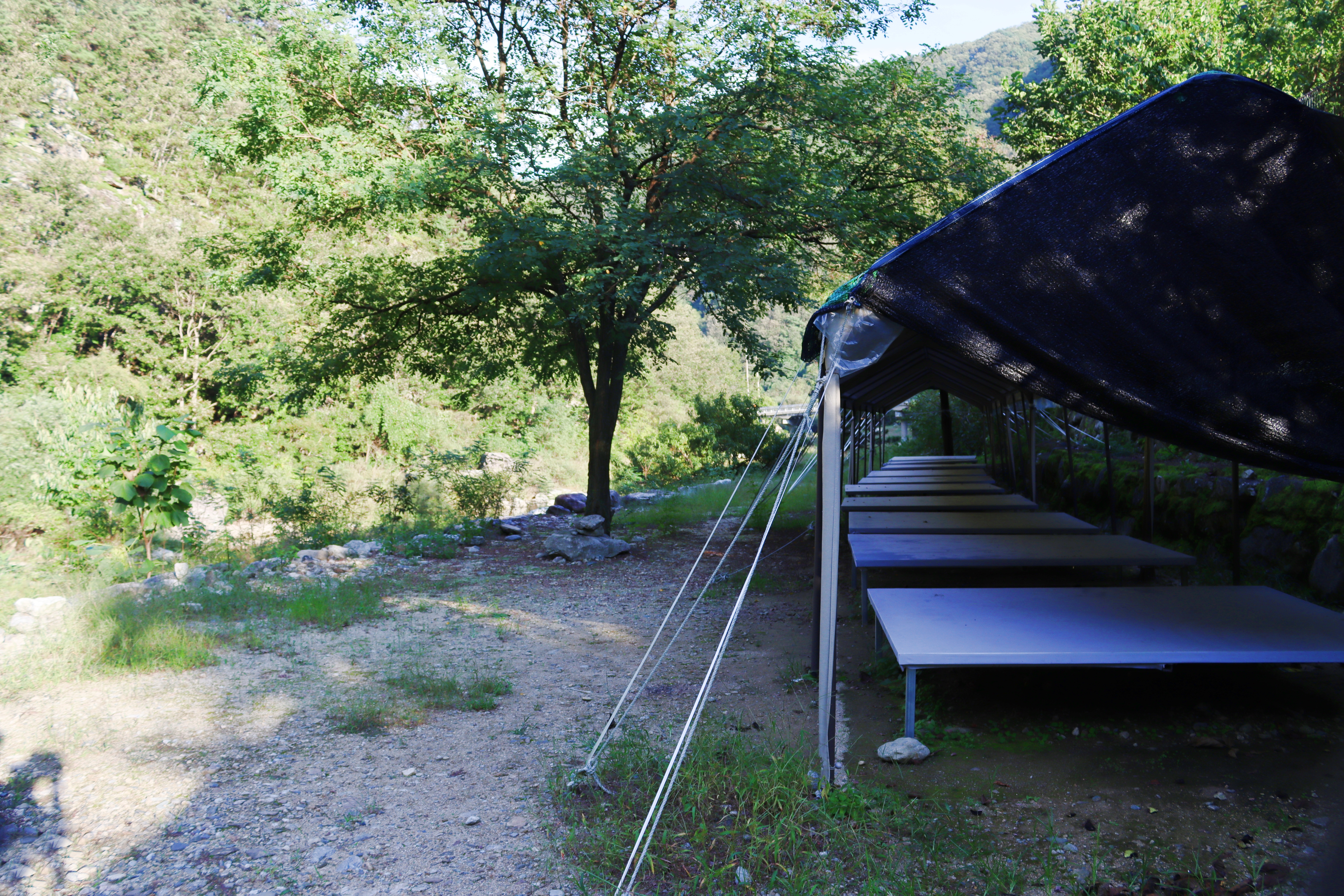 성주선바위캠핑장 25번째 이미지