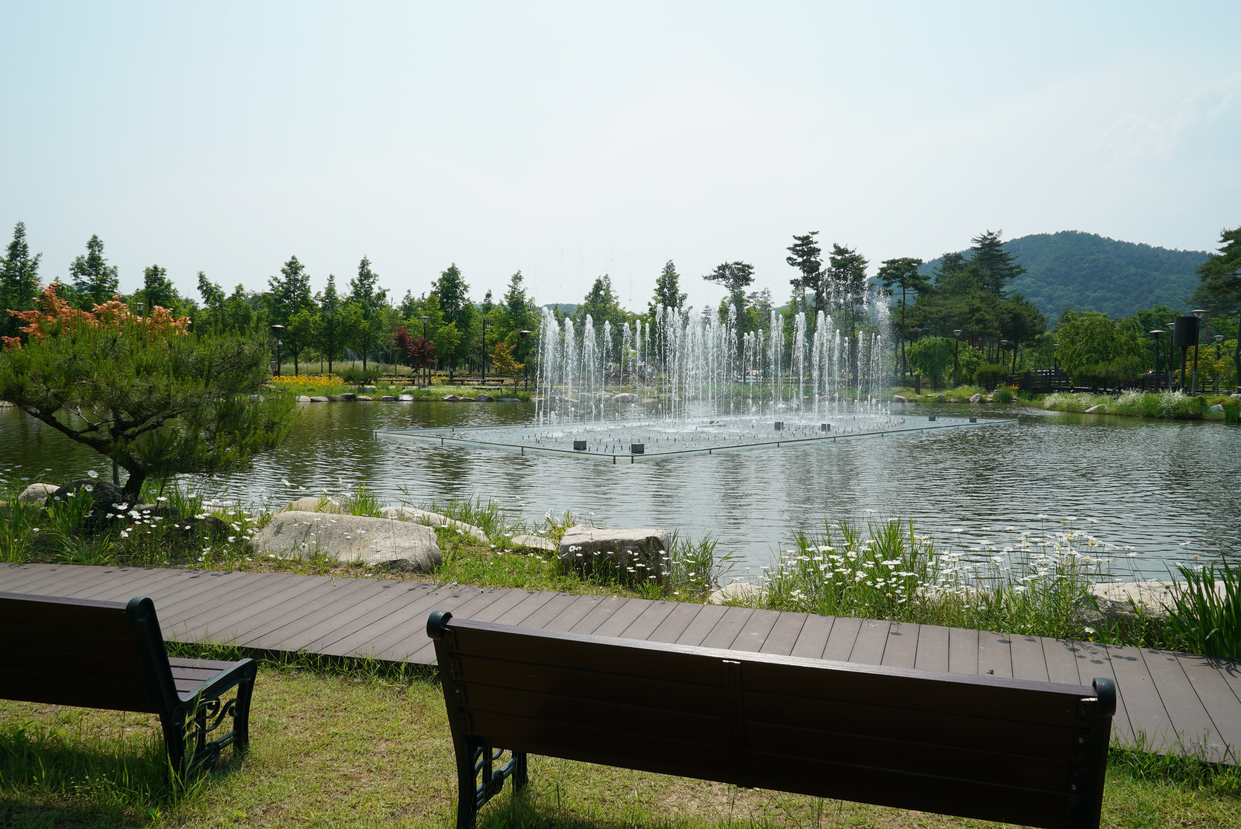 삼강나루캠핑장 35번째 이미지