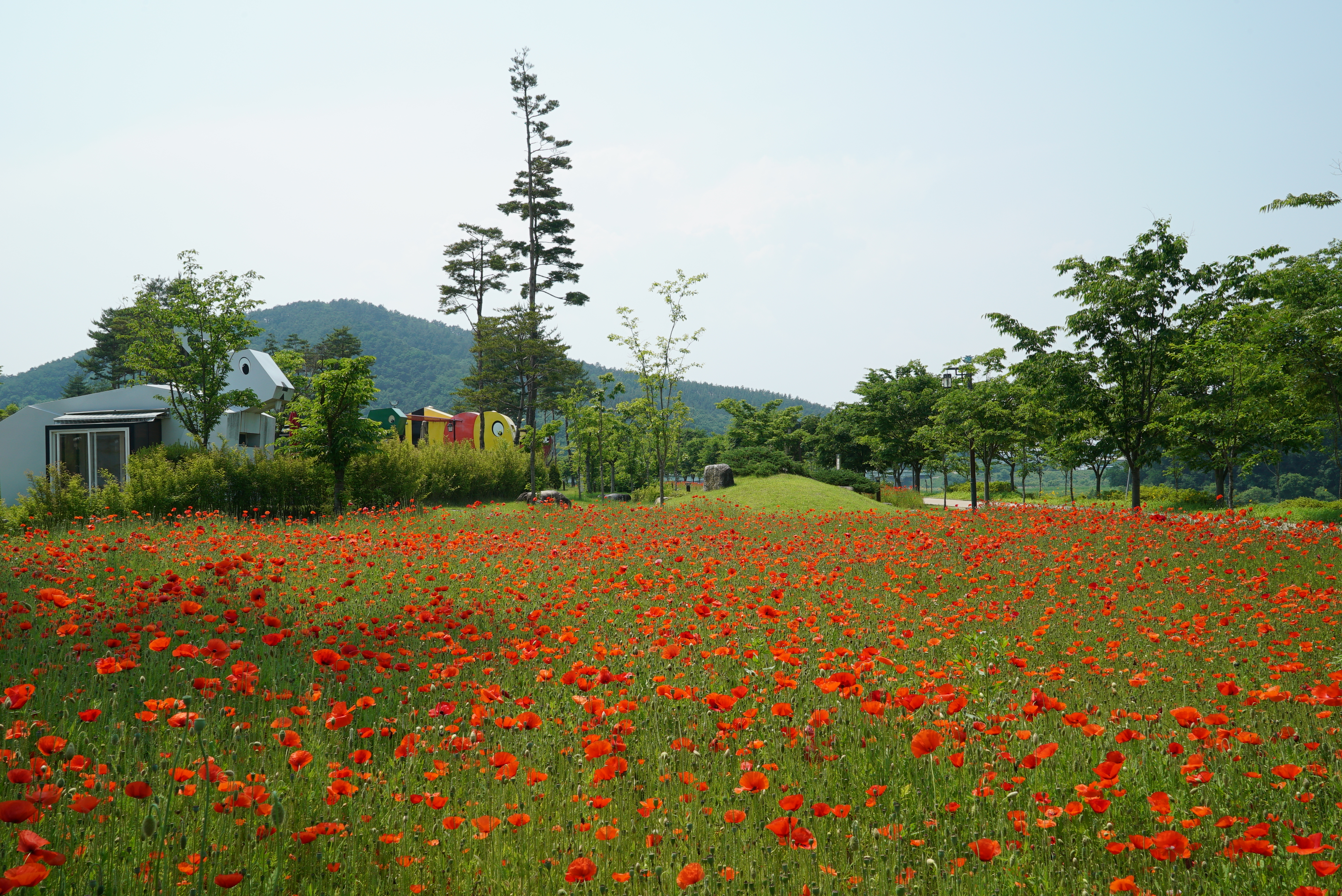 삼강나루캠핑장 29번째 이미지