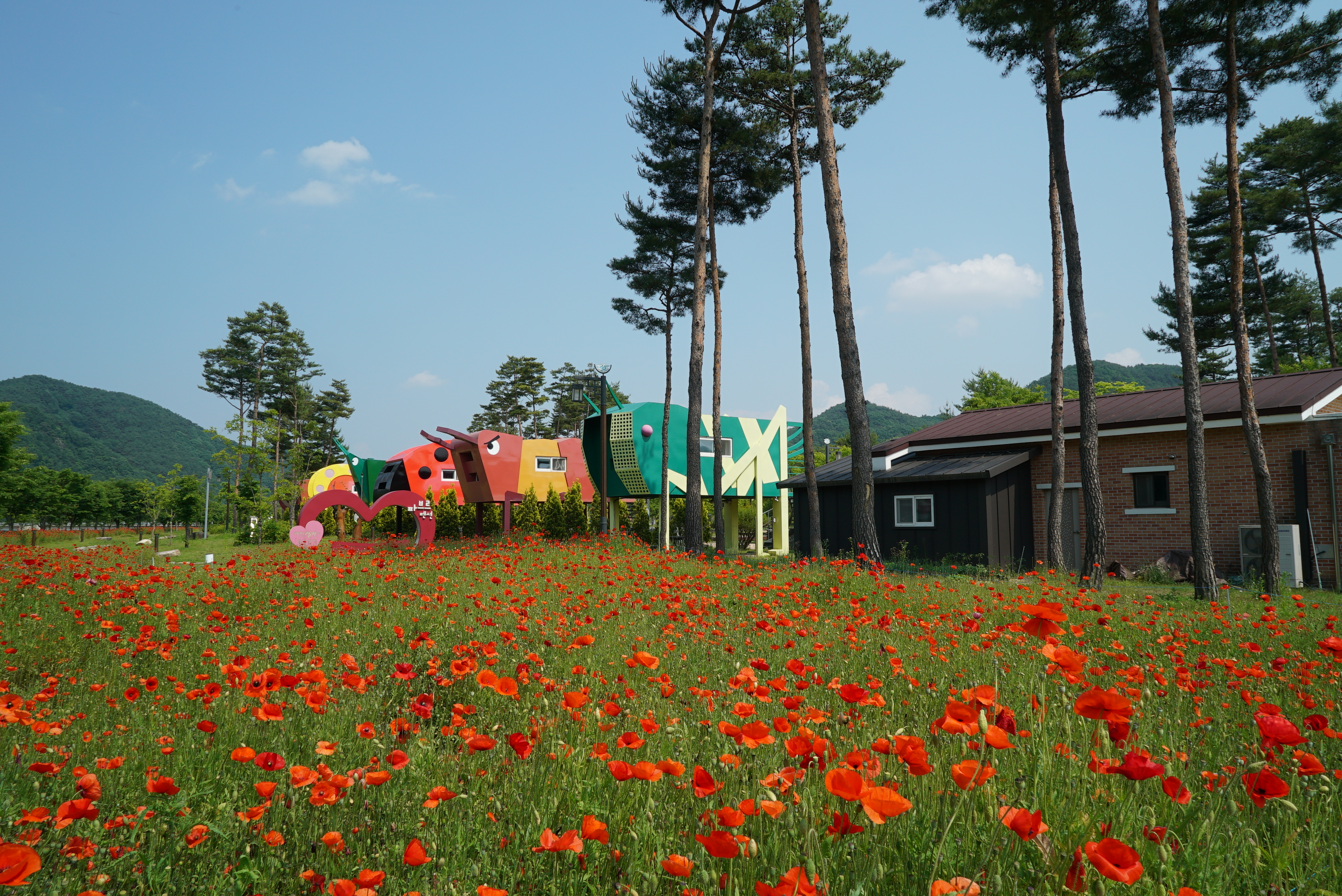 삼강나루캠핑장 42번째 이미지