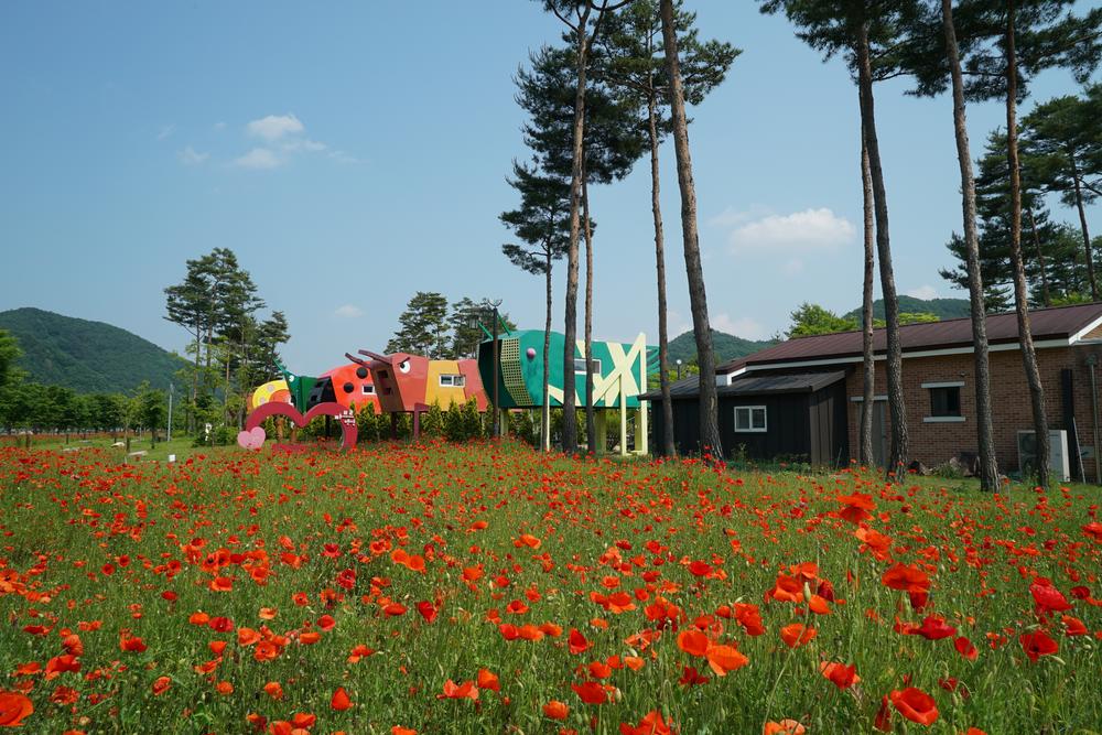 삼강나루캠핑장