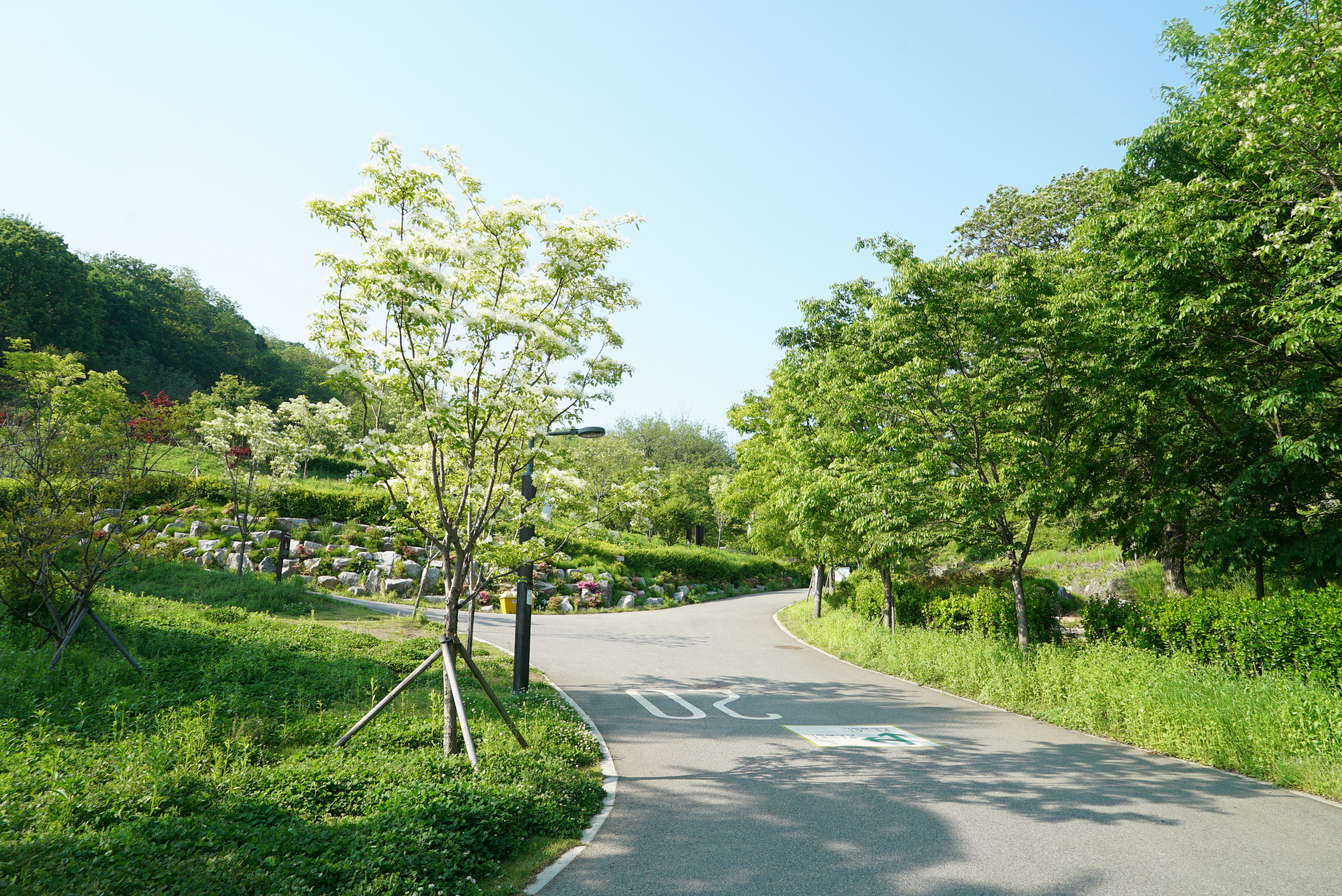 천왕산 가족캠핑장 이미지