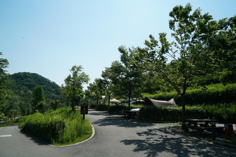 천왕산 가족캠핑장