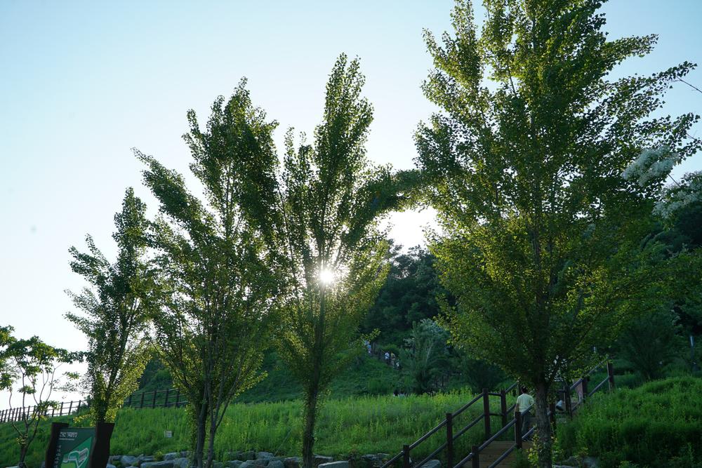 천왕산 가족캠핑장