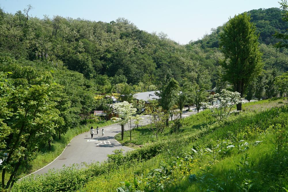 천왕산 가족캠핑장