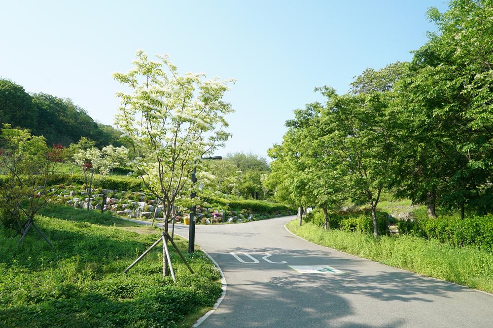 천왕산 가족캠핑장